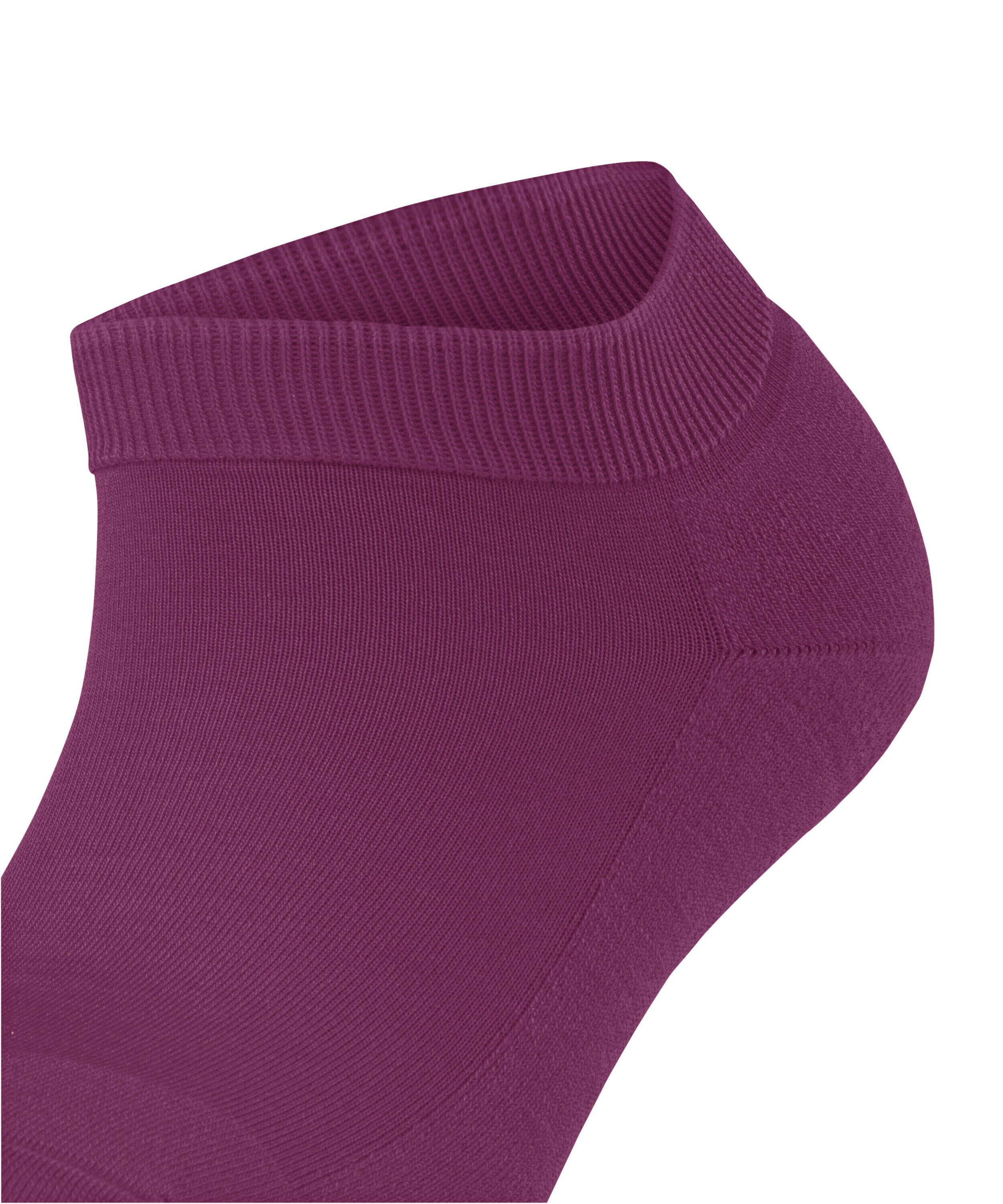 FALKE ClimaWool dames sneakersokken, paars (hibiscus)