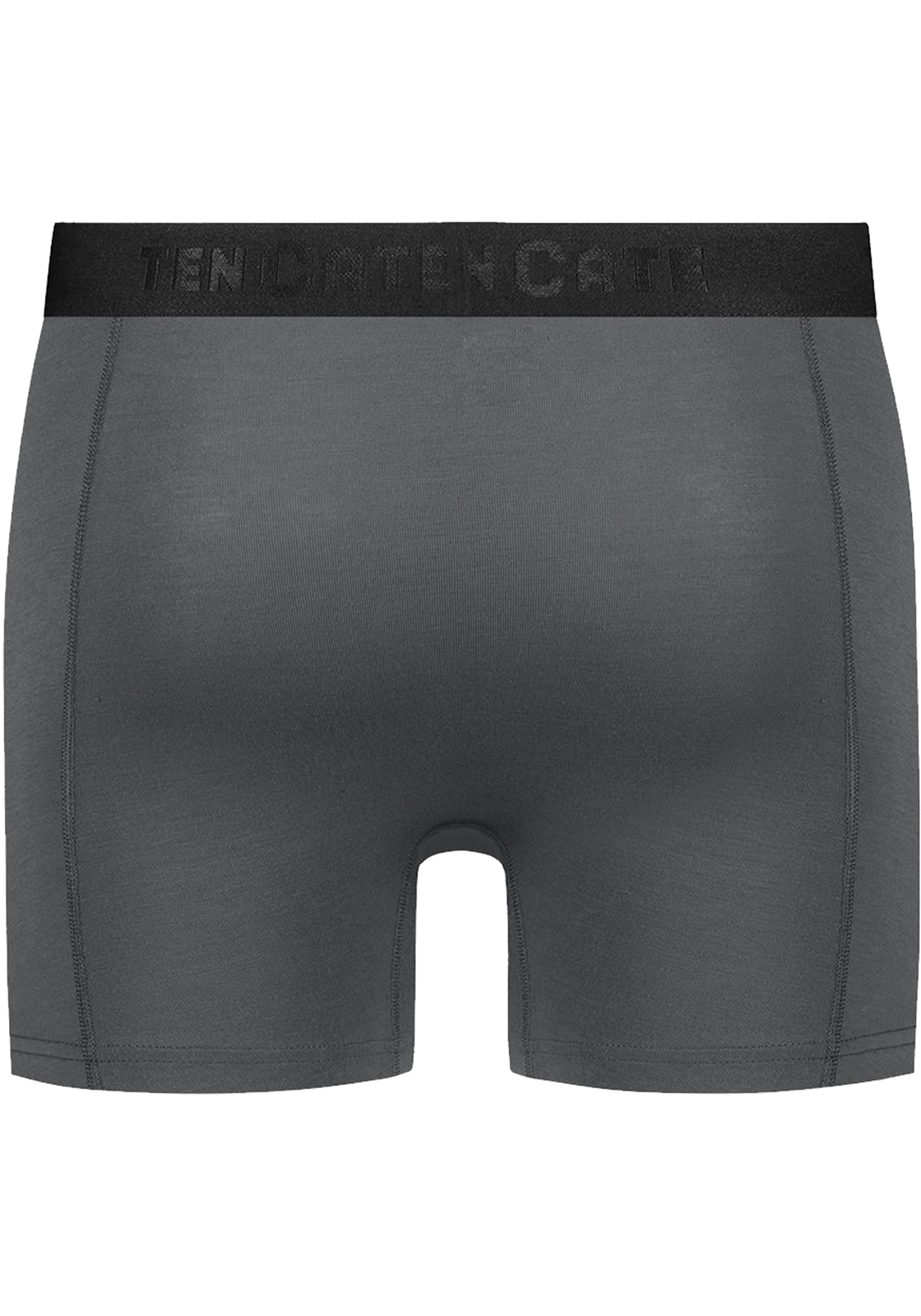 TEN CATE Basics men bamboo viscose shorts (2-pack), heren boxers normale lengte, grijs TEN CATE Basics men bamboo viscose shorts (2-pack), heren boxers normale lengte, grijs