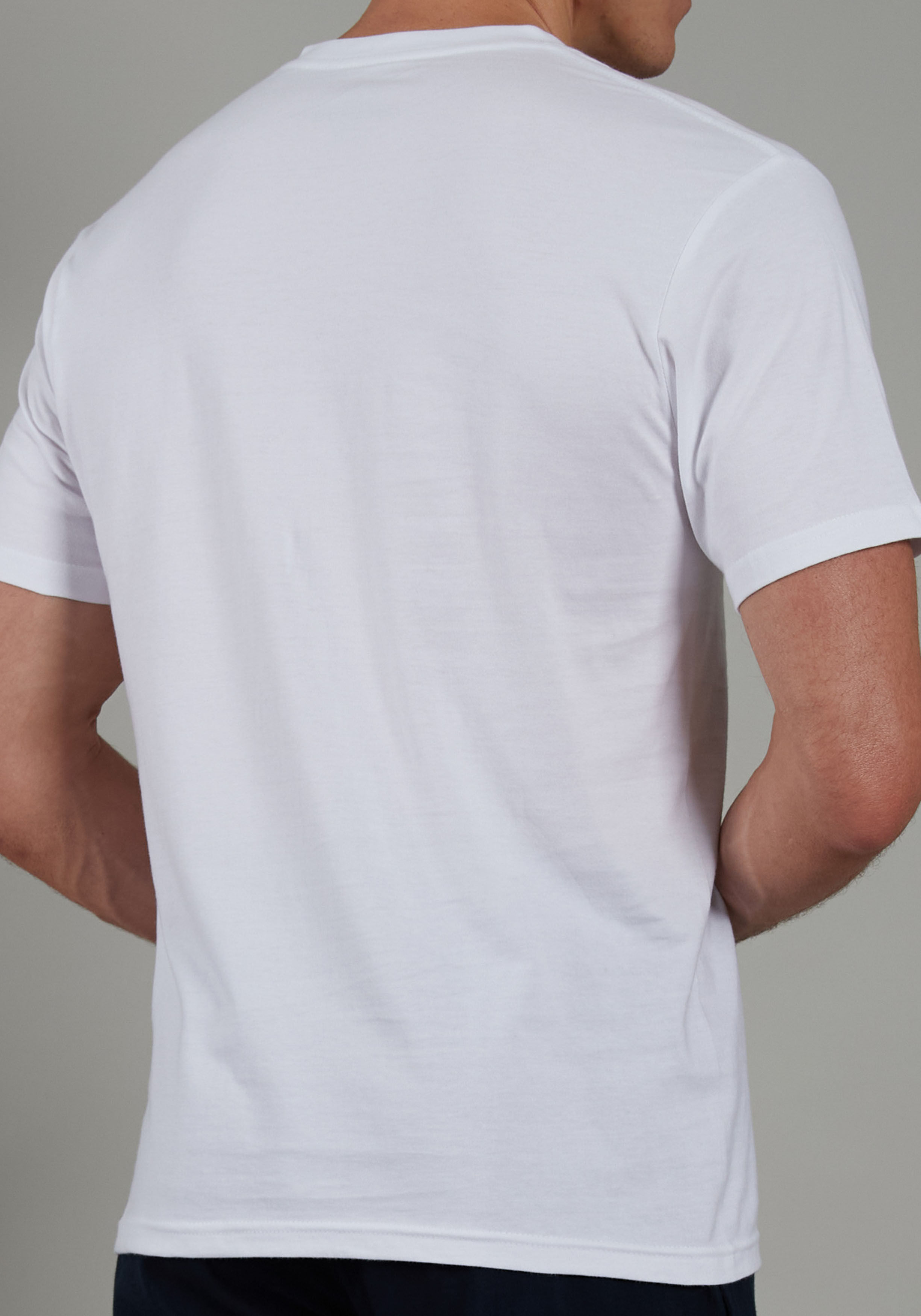 Ceceba heren T-shirt V-hals (2-pack), wit