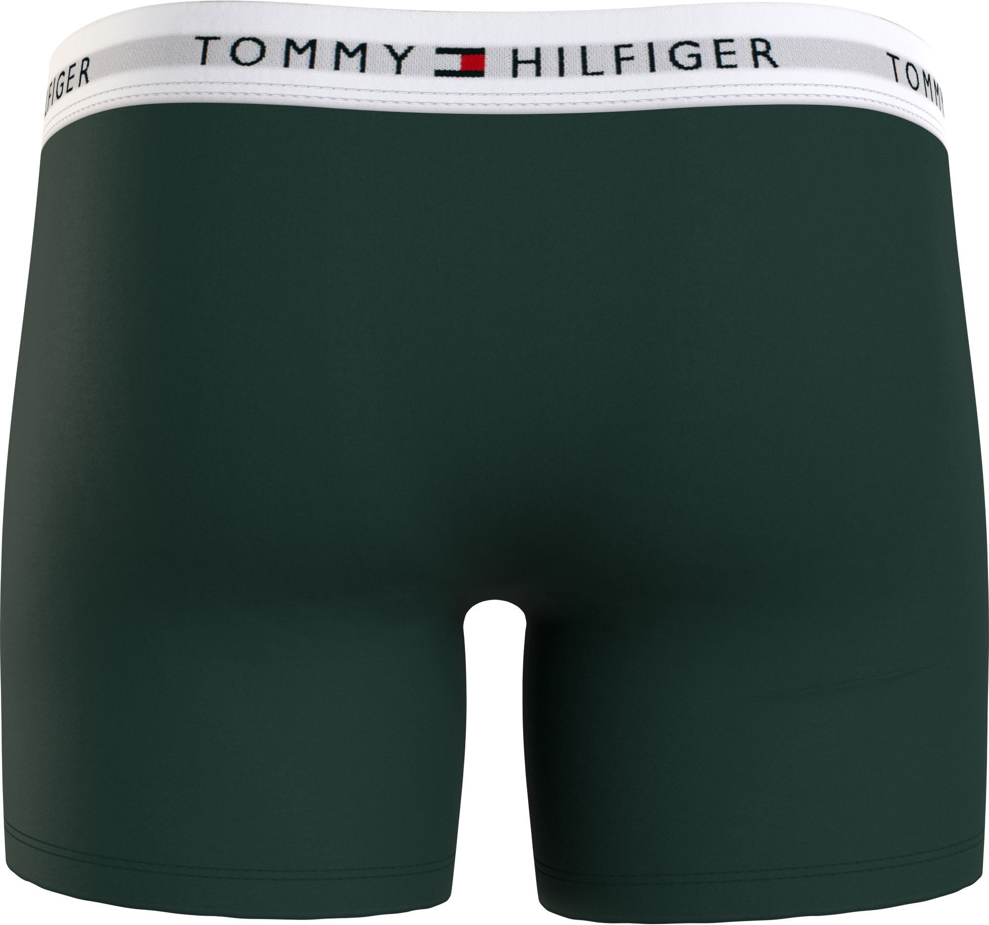 Tommy Hilfiger boxer brief (3-pack), heren boxers extra lang, groen, lichtgroen, blauw