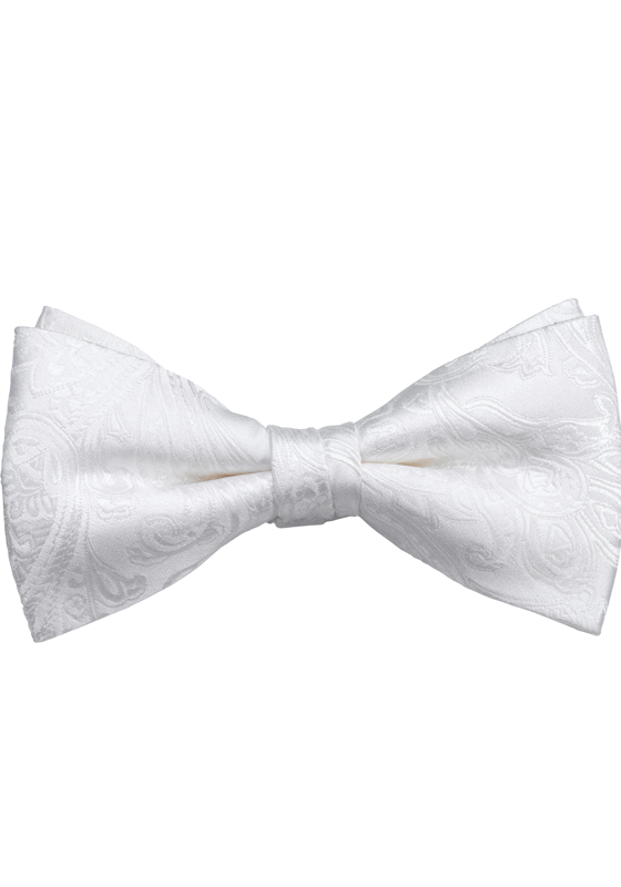 OLYMP vlinderdas, champagne OLYMP vlinderdas, champagne