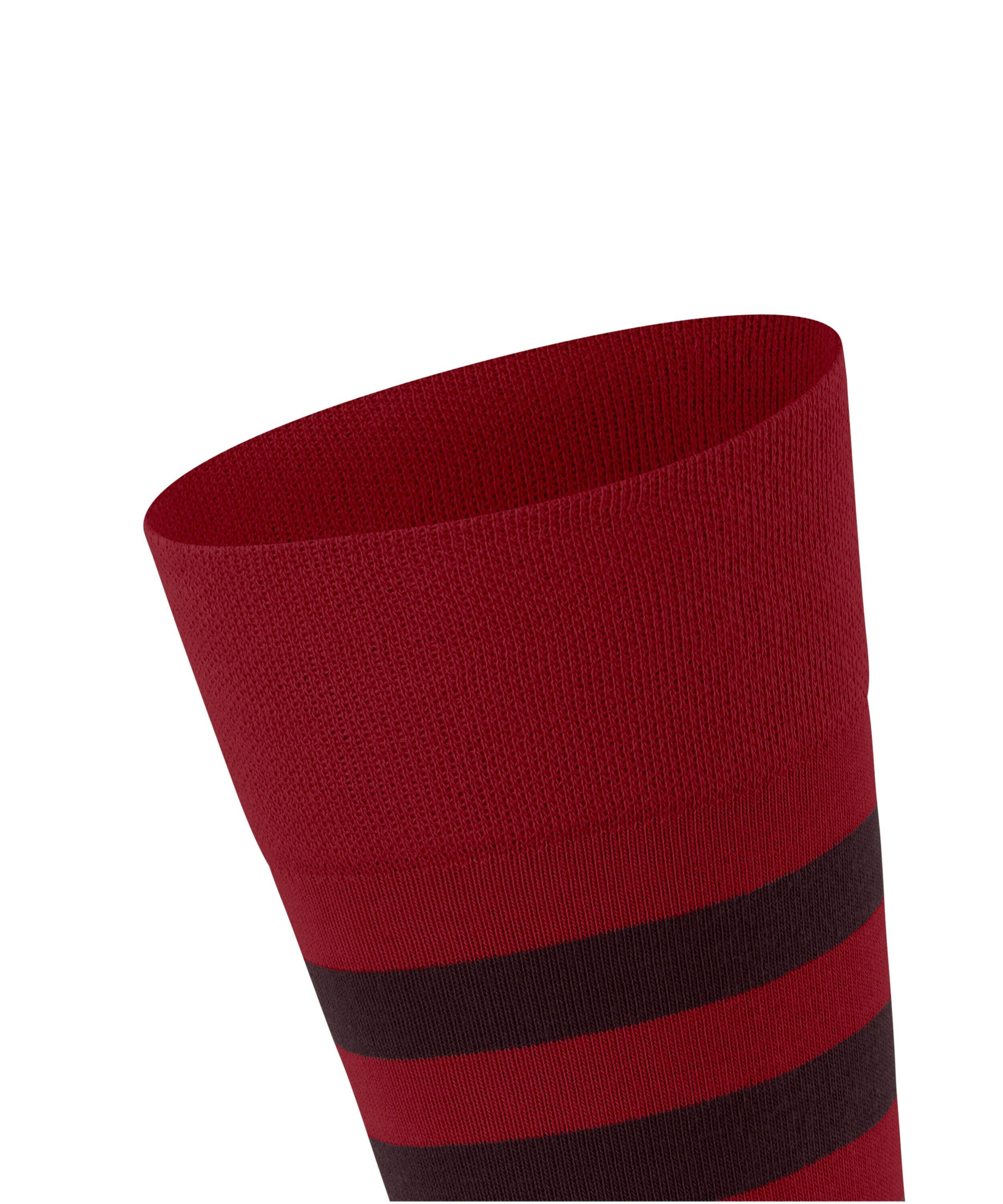 FALKE Sensitive Mapped Line herensokken, rood (scarlet)