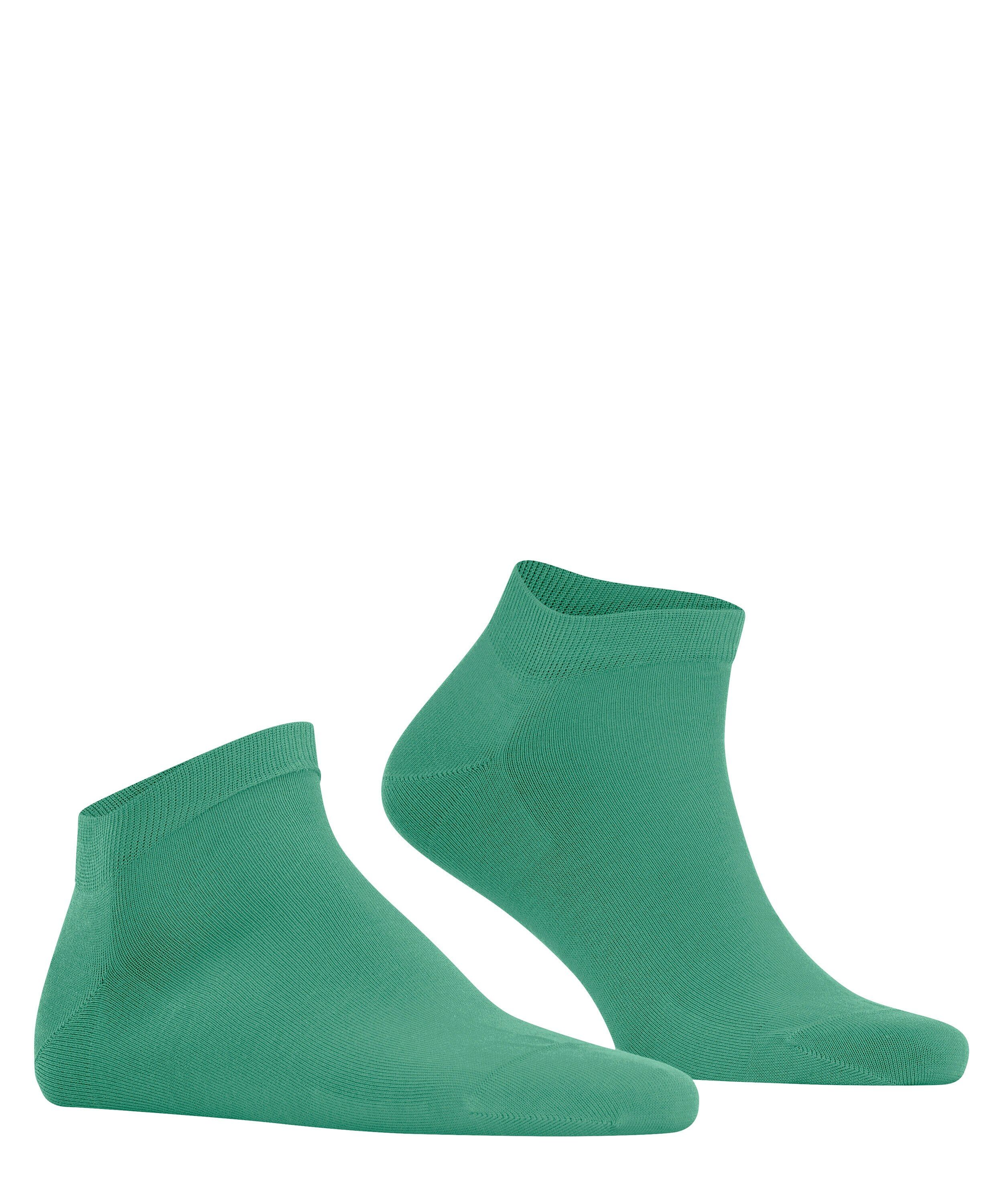 FALKE Cool 24/7 heren sneakersokken, groen (oceangreen)