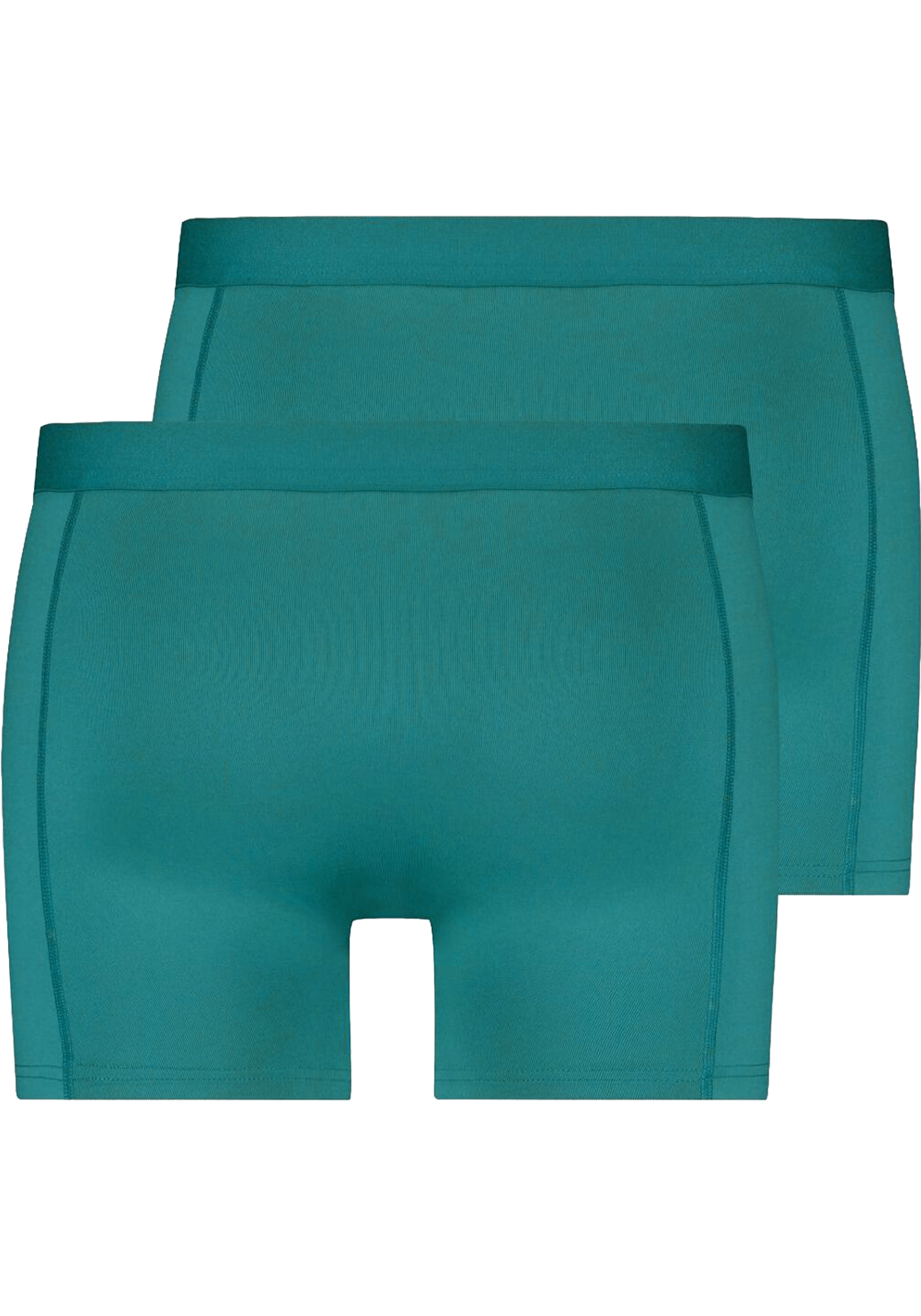 RJ Bodywear RJ Pure Color Jort heren boxer (2-pack), boxer extra lang, groen