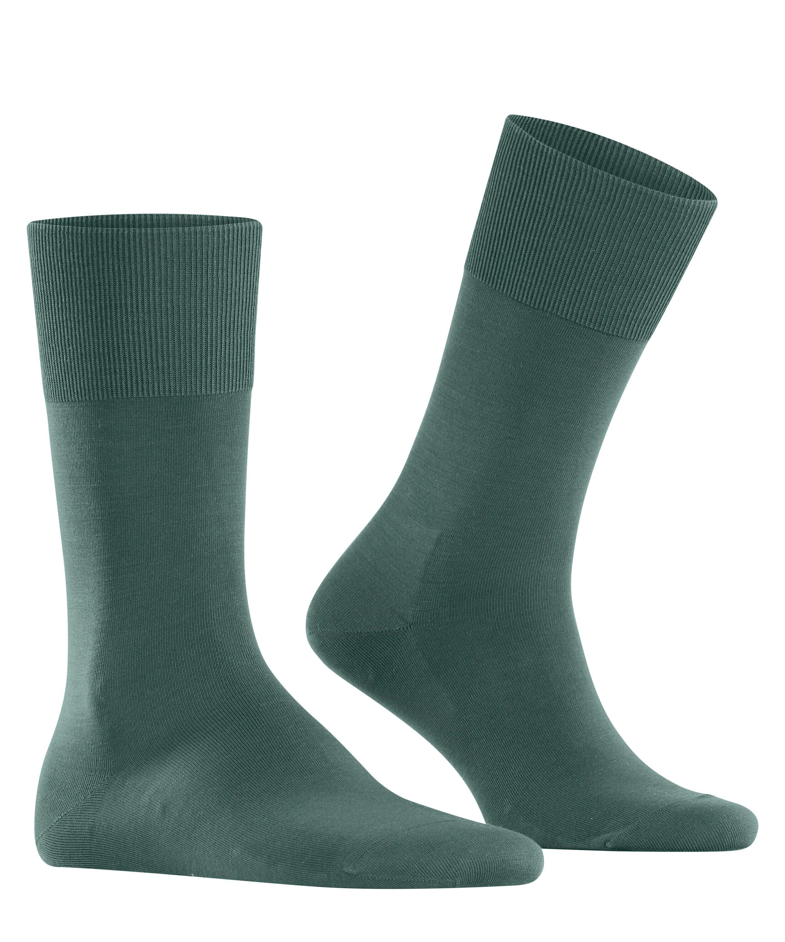 FALKE ClimaWool herensokken, oceaangroen (ATLANTIS)