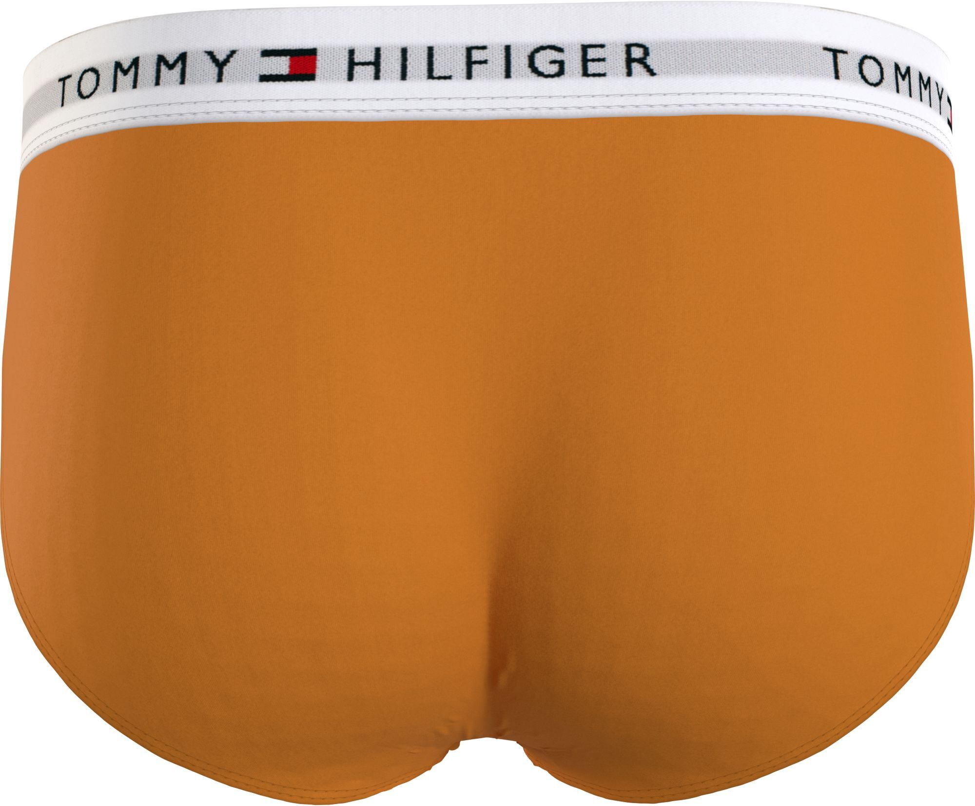 Tommy Hilfiger hipster brief (5-pack), heren slips, oranje, blauw, groen