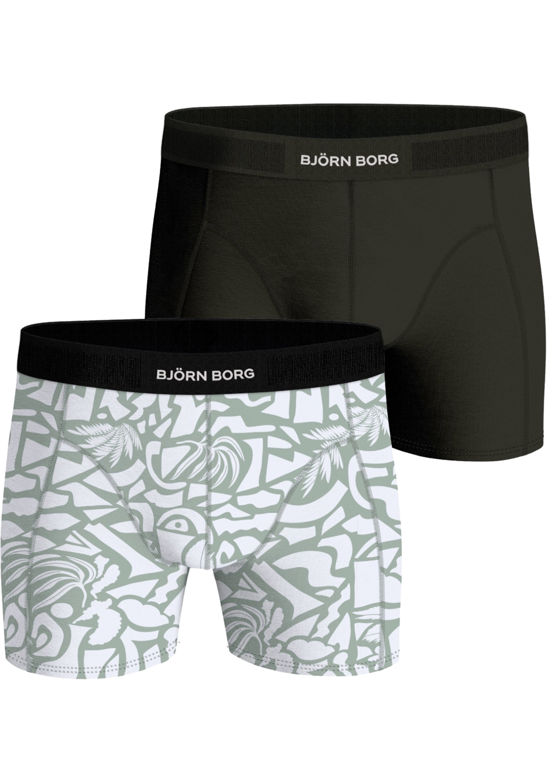 1-7321465530417-bjorn_borg_HR Bjorn Borg Cotton Stretch boxers, heren boxers normale lengte (2-pack), multicolor