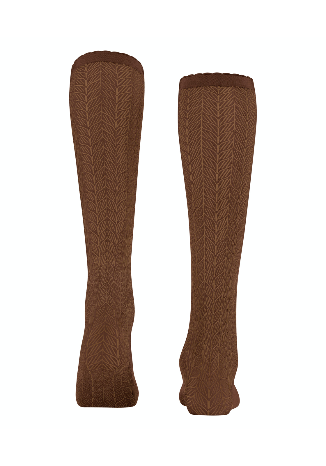 image_3_15606-9514-rearview-63b39172e79aejpgautofo FALKE Chlorophyll 60 DEN dames kniekousen, cognac bruin (brandy)