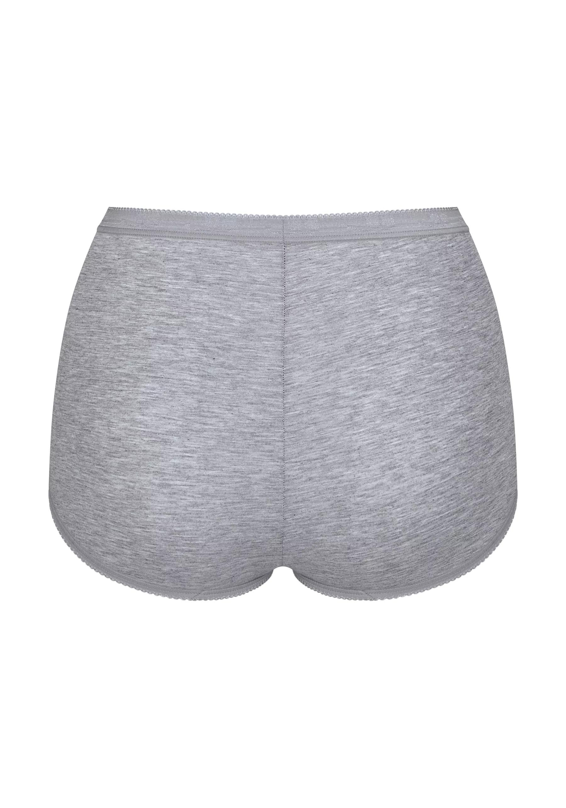 image_10_10103326_V016_8jpgdate-modefied2023-04-25T125 Sloggi Women Basic+ Maxi (4-pack), dames slip, wit, beige, zwart, grijs