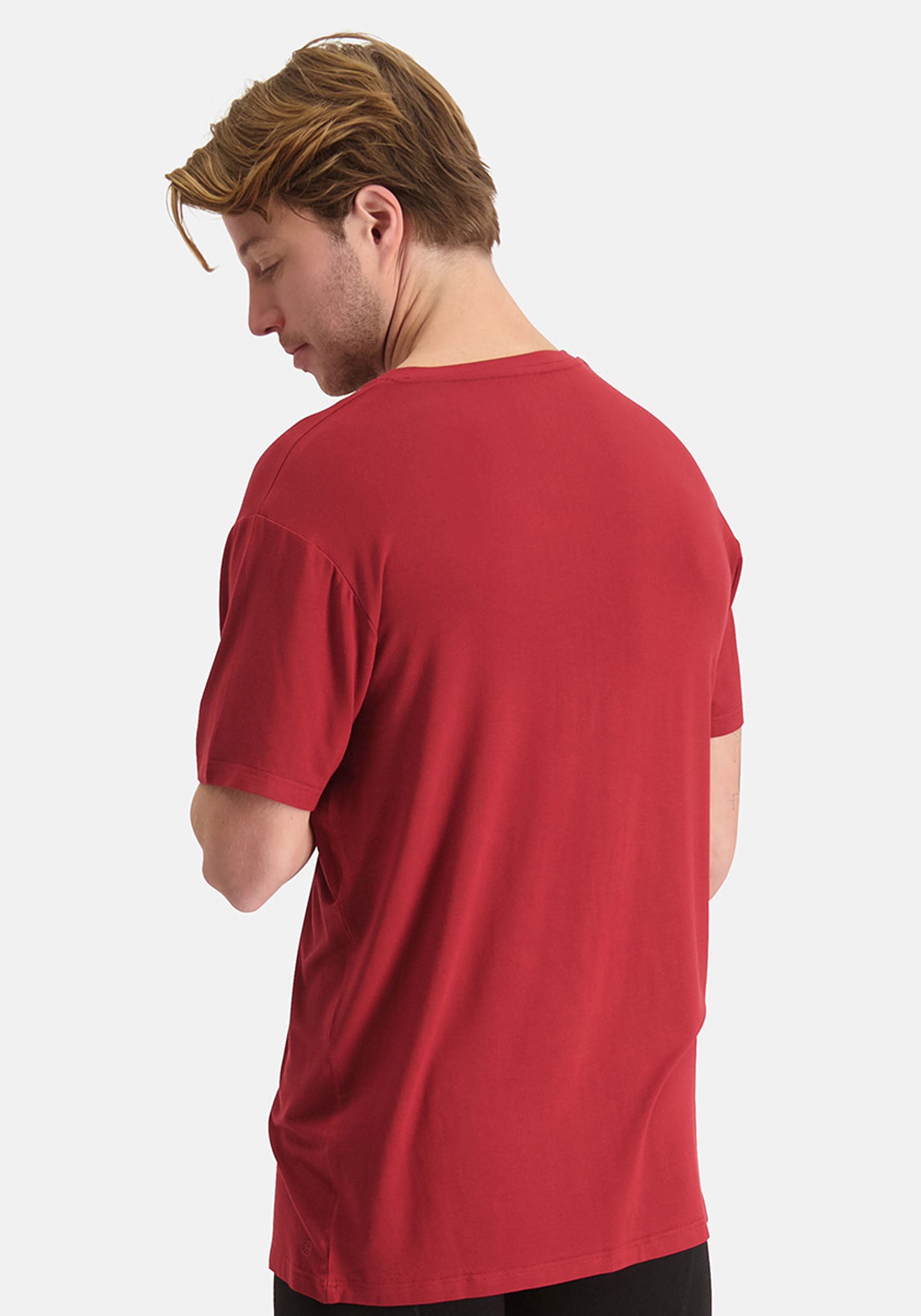 Bamboo Basics Vance V-neck T-shirt (2-pack), heren T-shirt V-hals, bordeaux rood