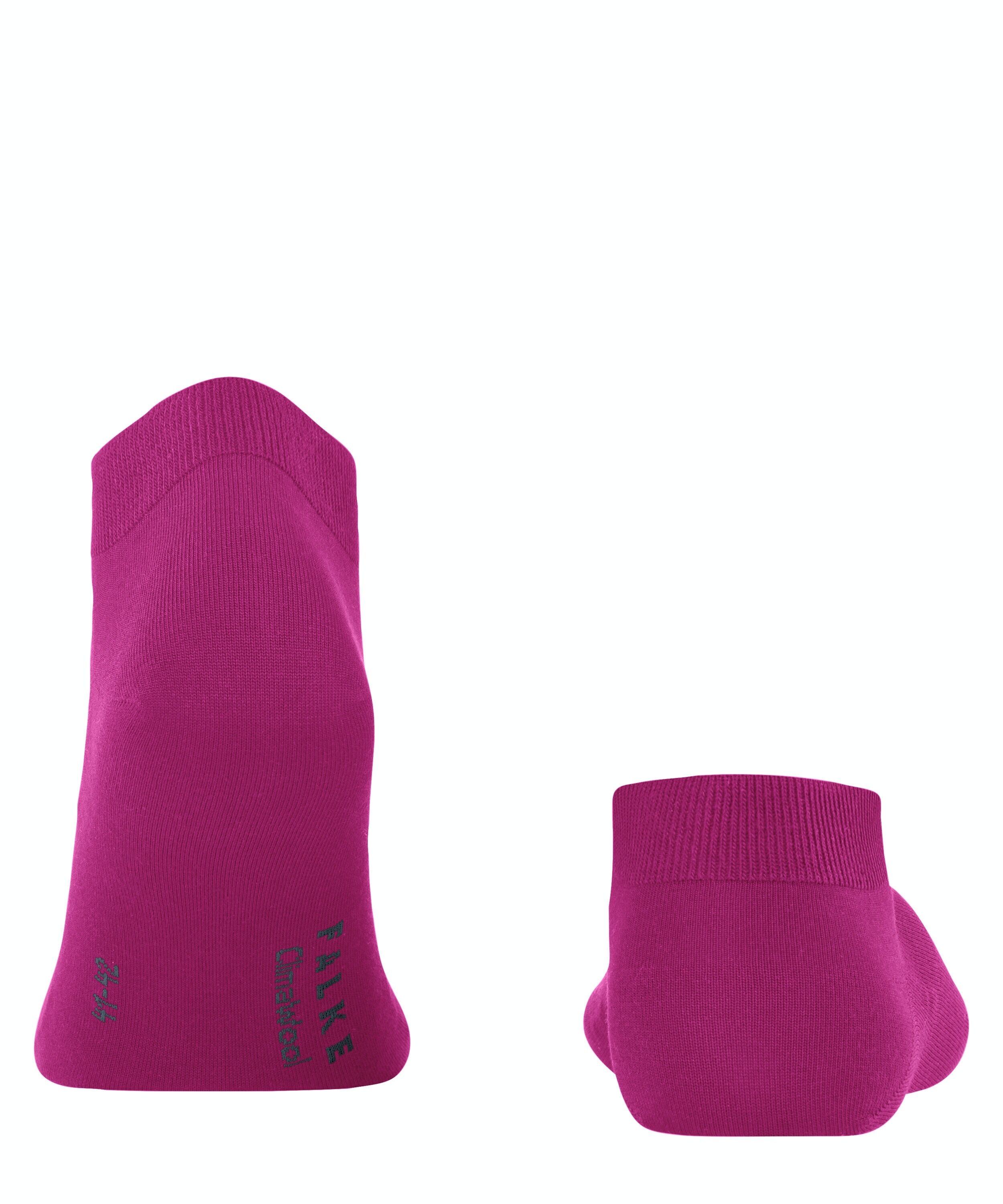 FALKE ClimaWool heren sneakersokken, roze (berry)