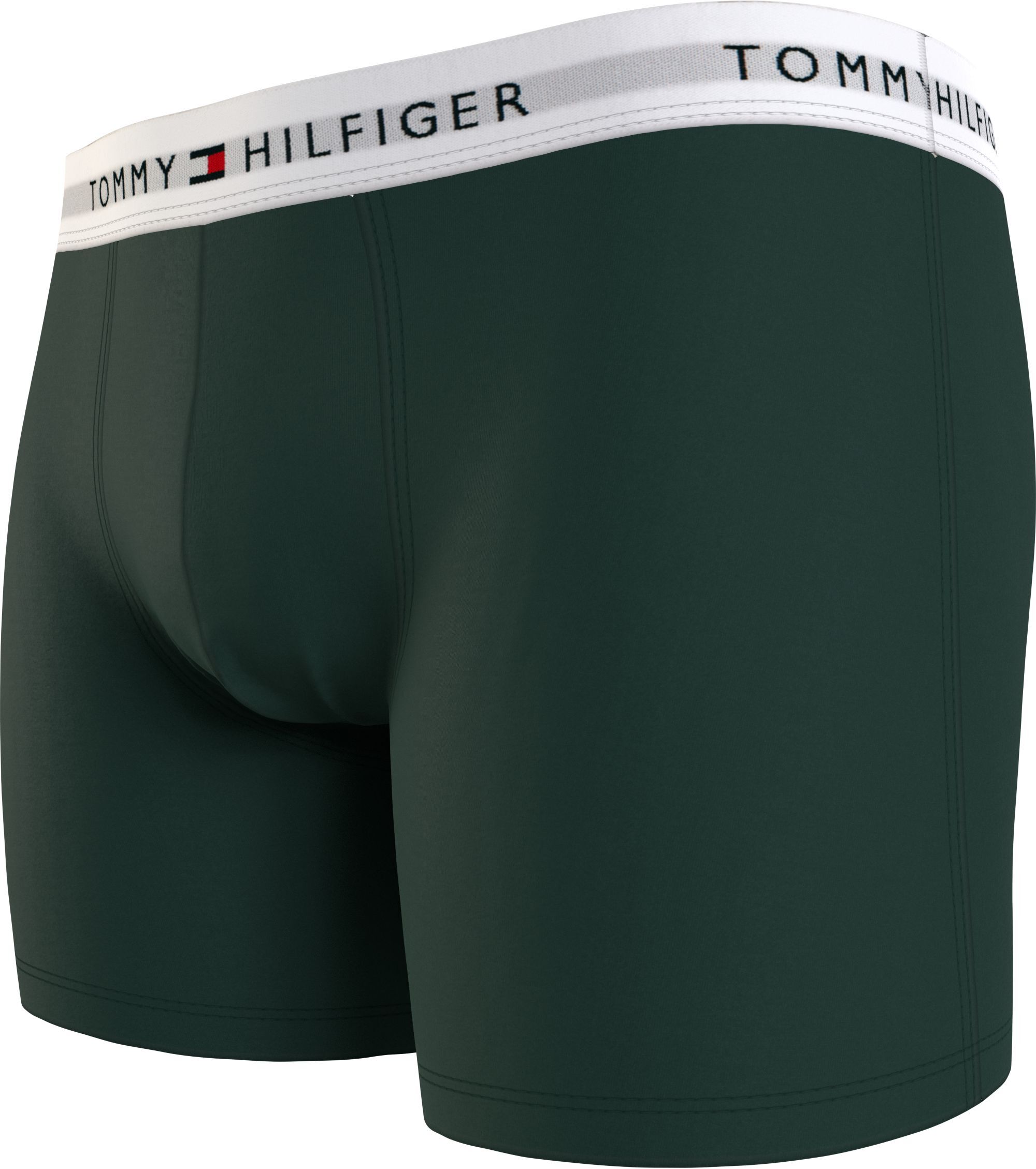 Tommy Hilfiger boxer brief (3-pack), heren boxers extra lang, groen, lichtgroen, blauw