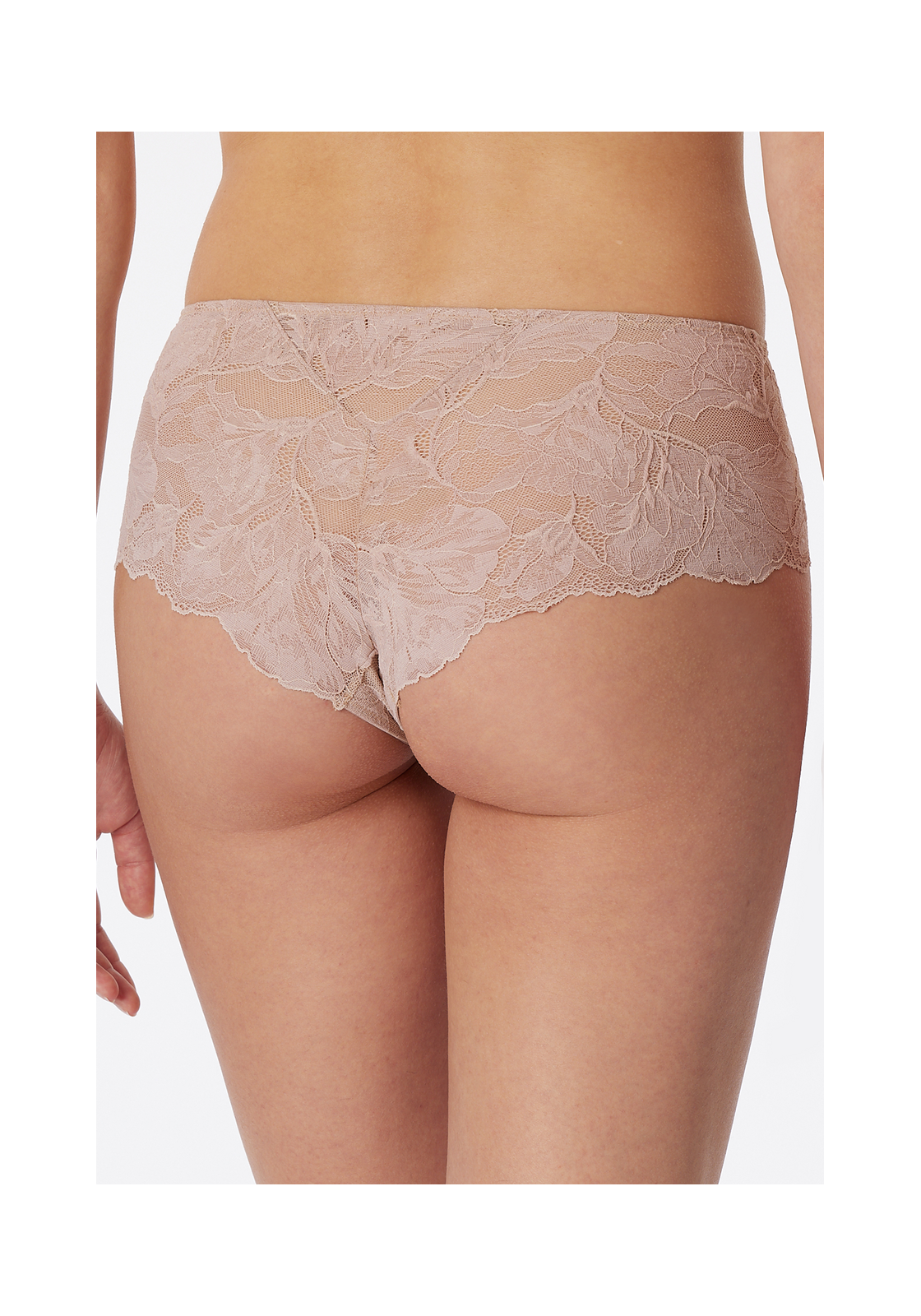 image_4_179902-409_1_1280x1280 SCHIESSER Modal&Lace slip (1-pack), dames pantybroek kant beige