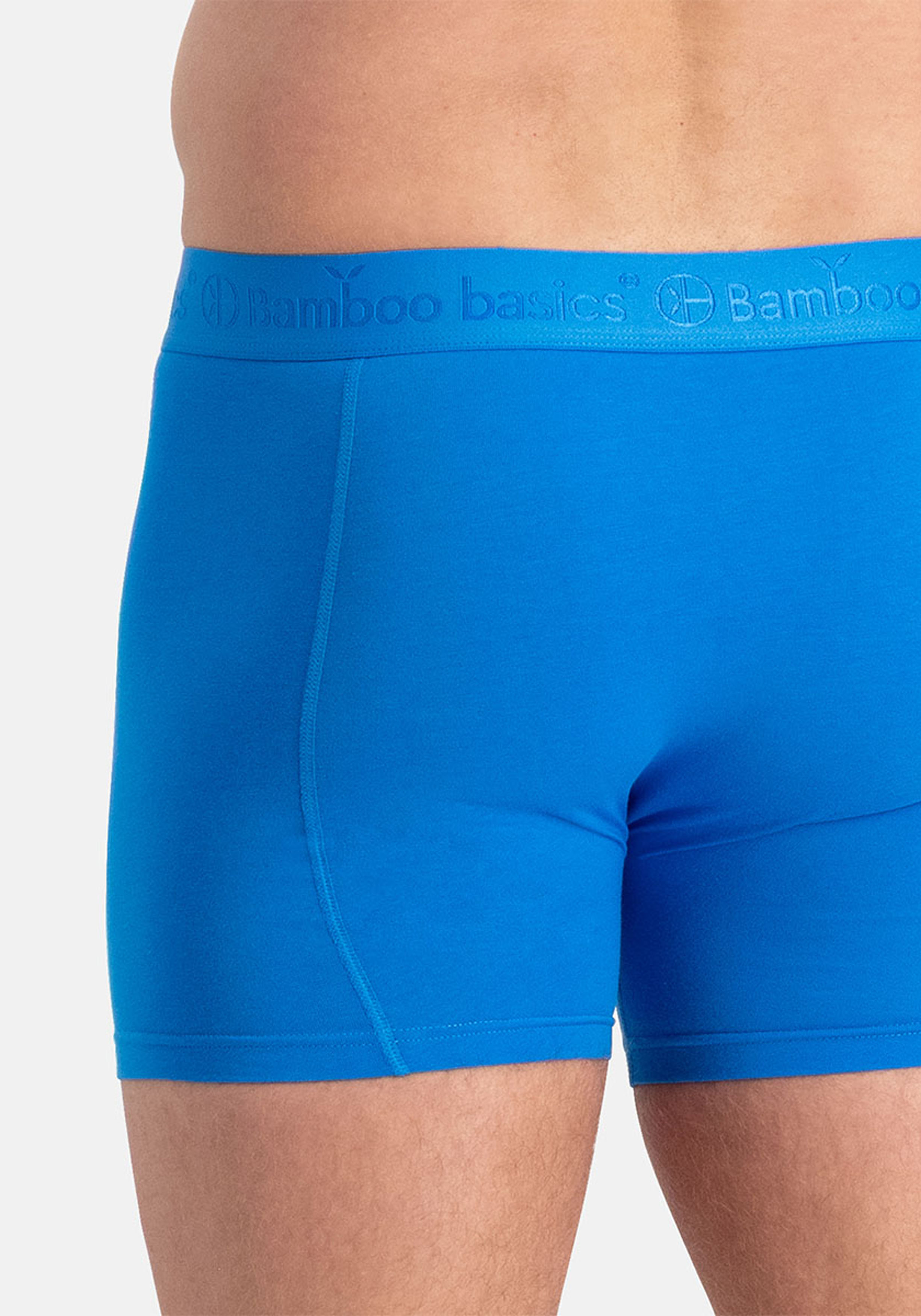 Bamboo Basics Rico boxershorts (3-pack), heren boxershort, grijs melange, blauw aster, blauw aster