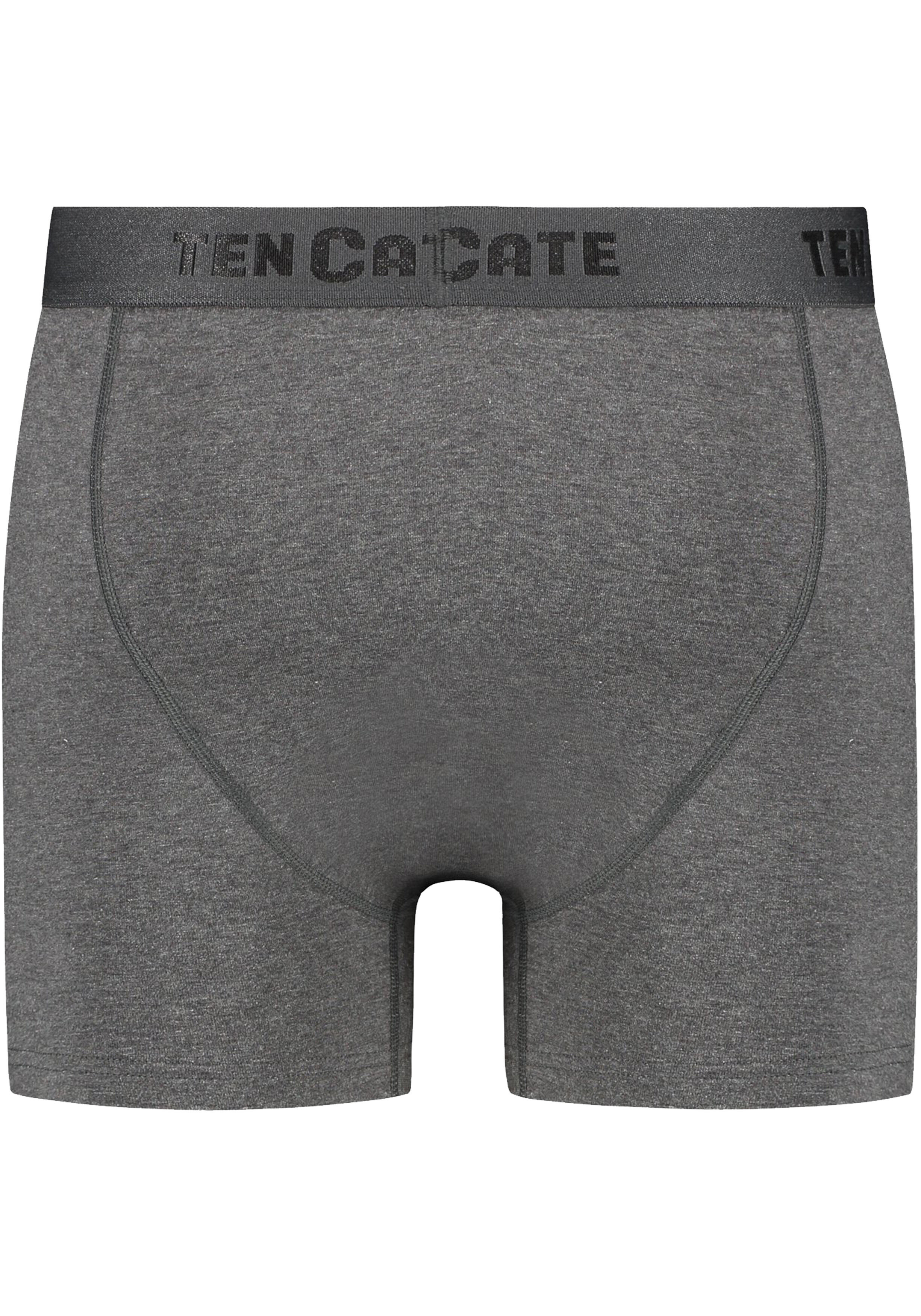 TEN CATE Basics men classic shorts met gulp (2-pack), heren boxers normale lengte, antraciet grijs melange