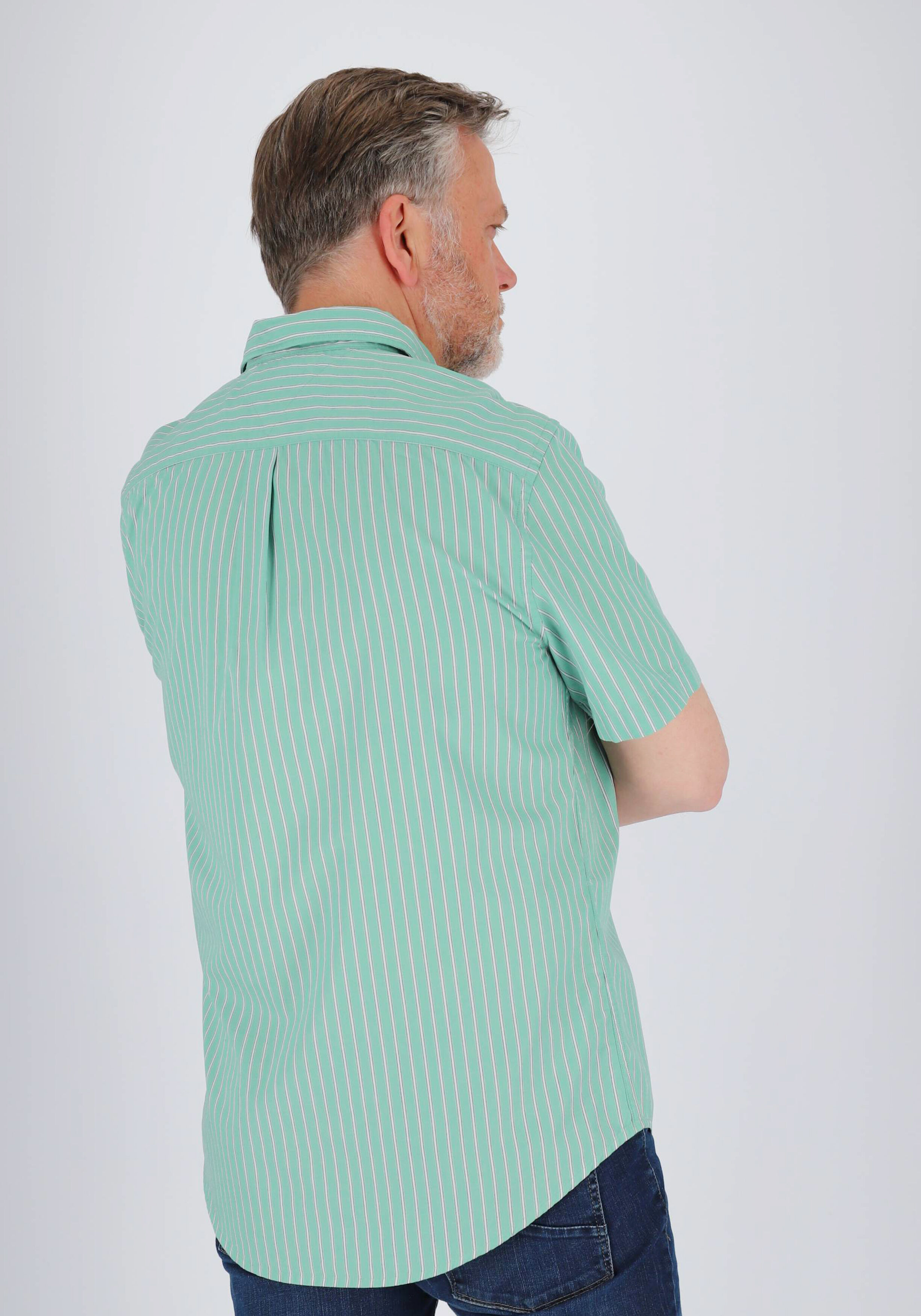 Tommy Hilfiger Flex Poplin Regular Fit Shirt, korte mouw, popeline, groen met wit gestreept