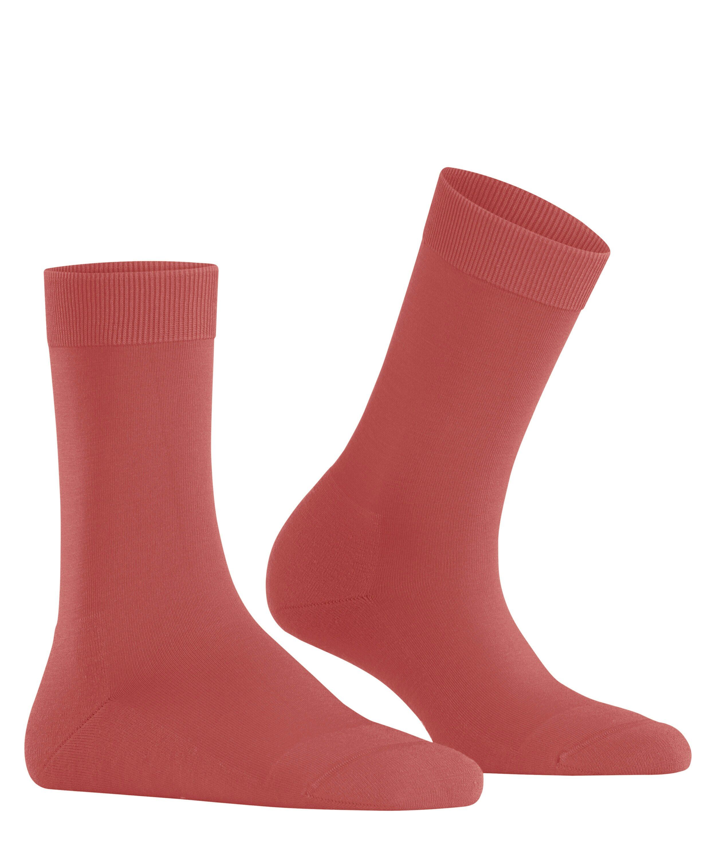 FALKE ClimaWool damessokken, kreeftoranje (lobster)