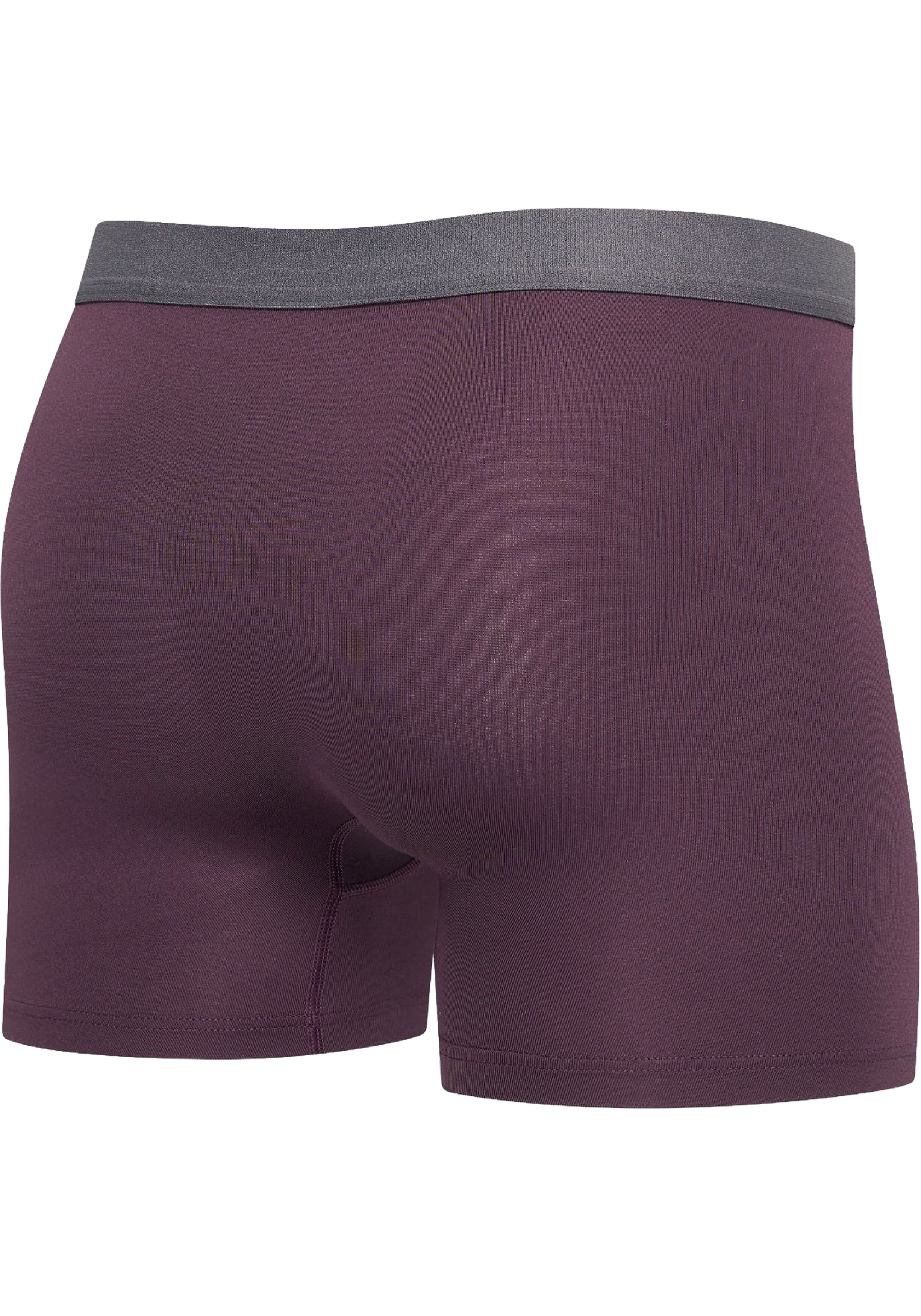 RJ Bodywear Pure Color boxershort (1-pack), heren boxer lang, microfiber, aubergine