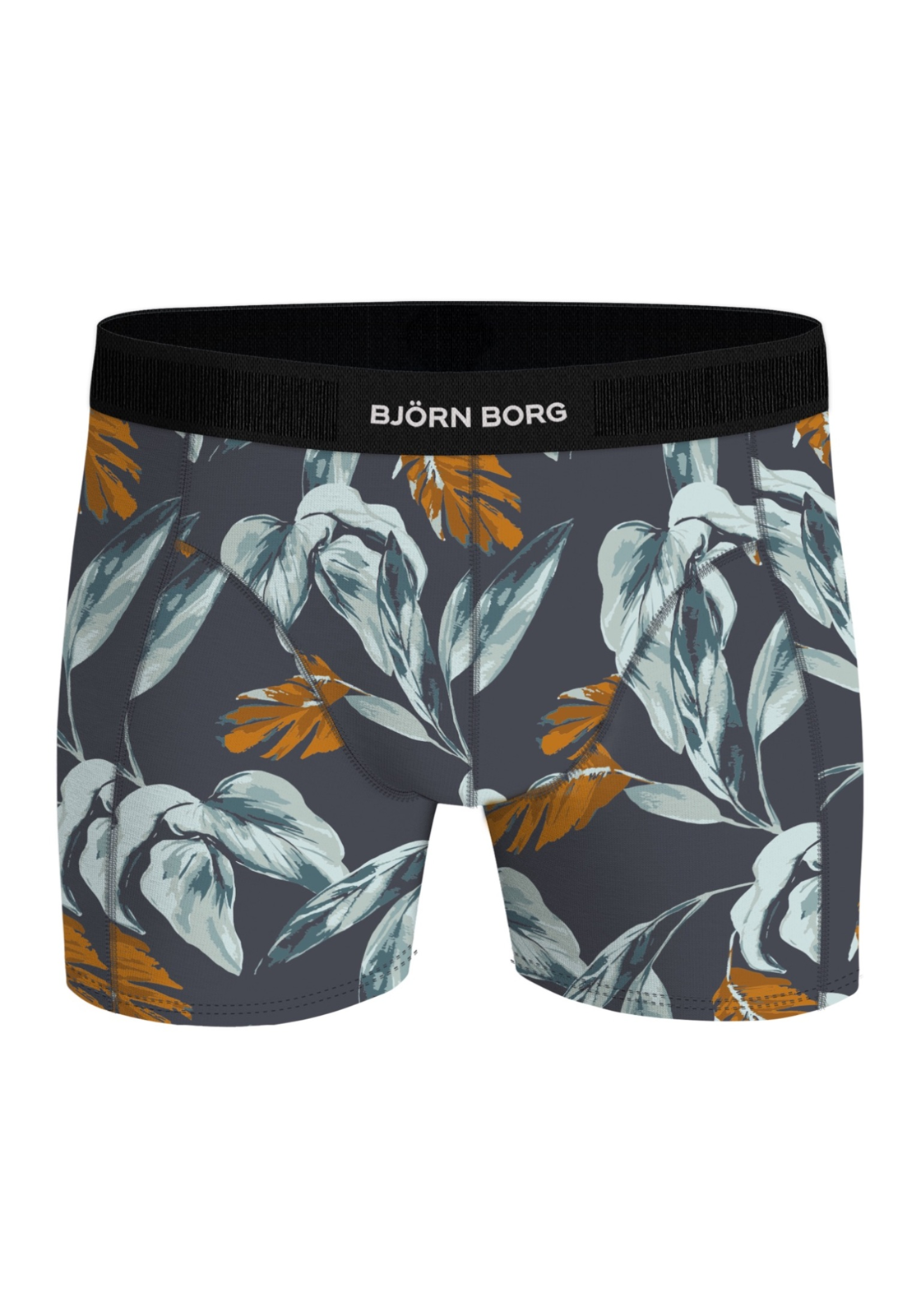 image_3_10002887_MP002_2 Bjorn Borg Cotton Stretch boxers, heren boxers normale lengte (2-pack), multicolor