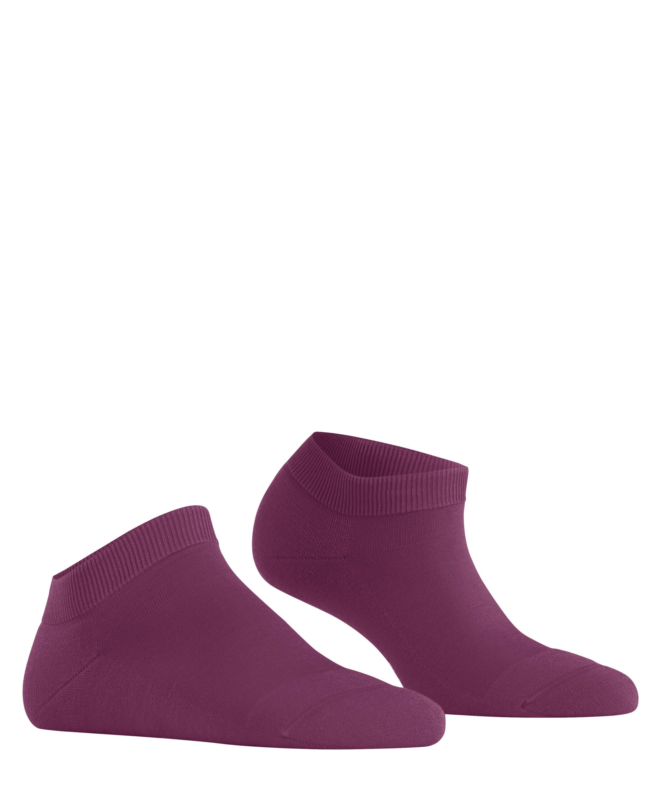FALKE ClimaWool dames sneakersokken, paars (hibiscus)