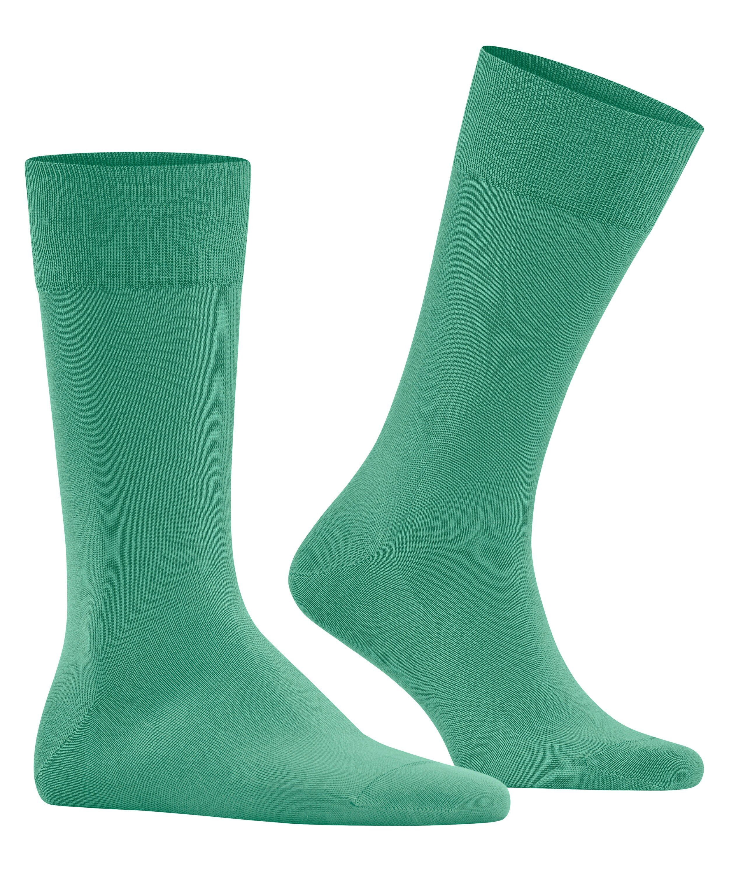 FALKE Cool 24/7 herensokken, groen (oceangreen)