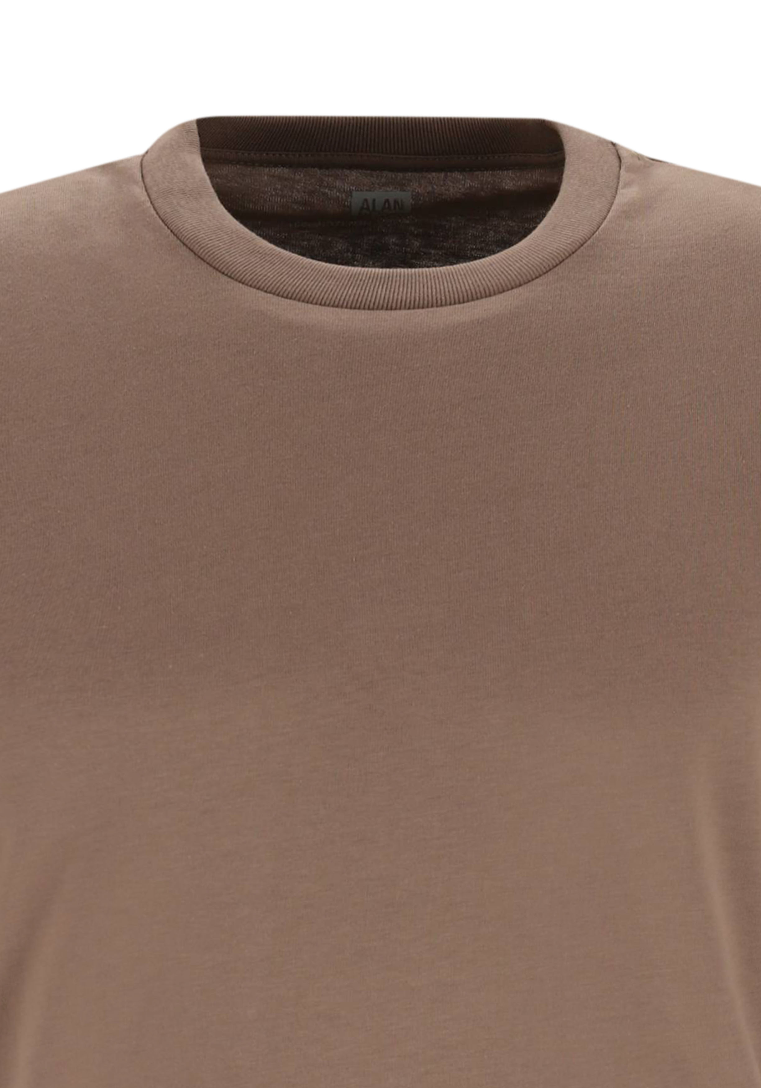 ALAN RED T-shirts Venice (1-pack), O-hals, taupe