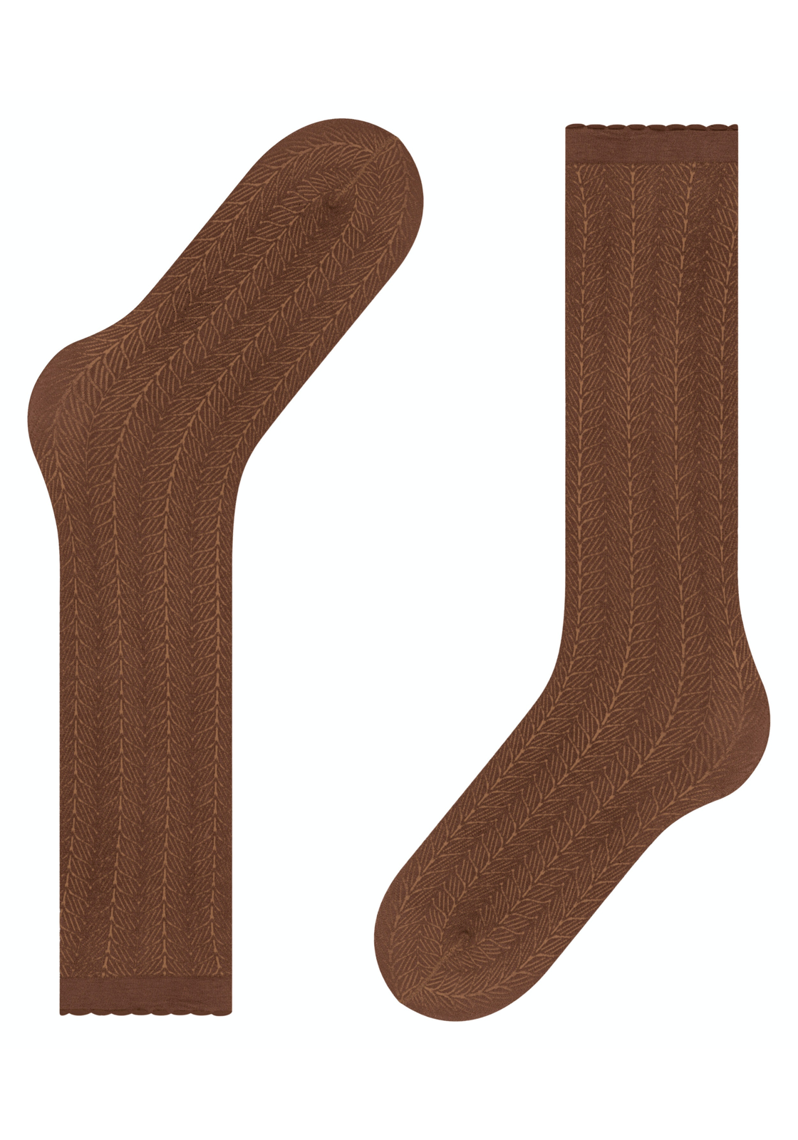 image_5_15606-9514-detail-2-63b3917451cbajpgautofo FALKE Chlorophyll 60 DEN dames kniekousen, cognac bruin (brandy)