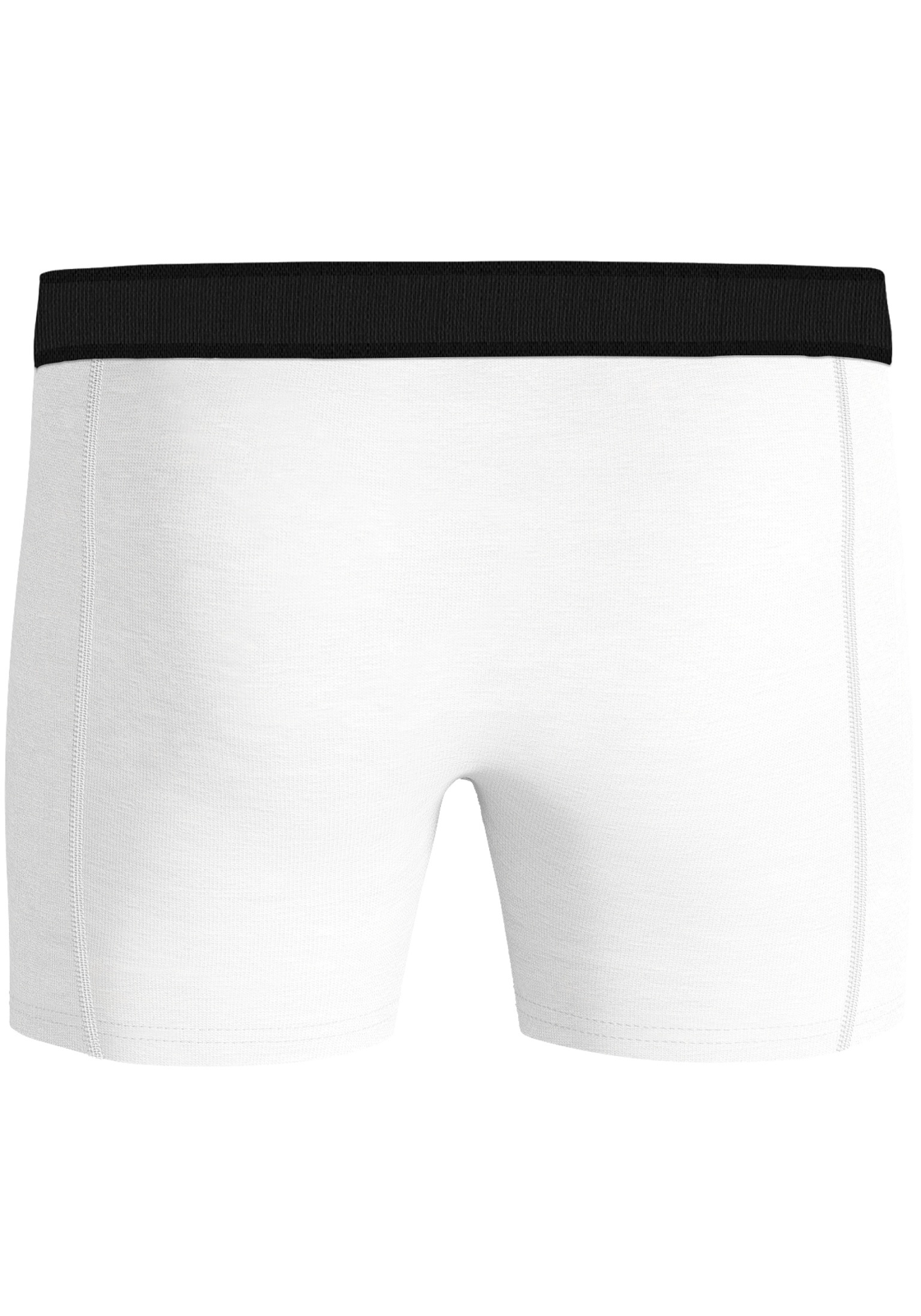 image_4_10001298_MP002_3jpgts1661284384 Bjorn Borg Cotton Stretch boxers, heren boxers normale lengte (2-pack), multicolor