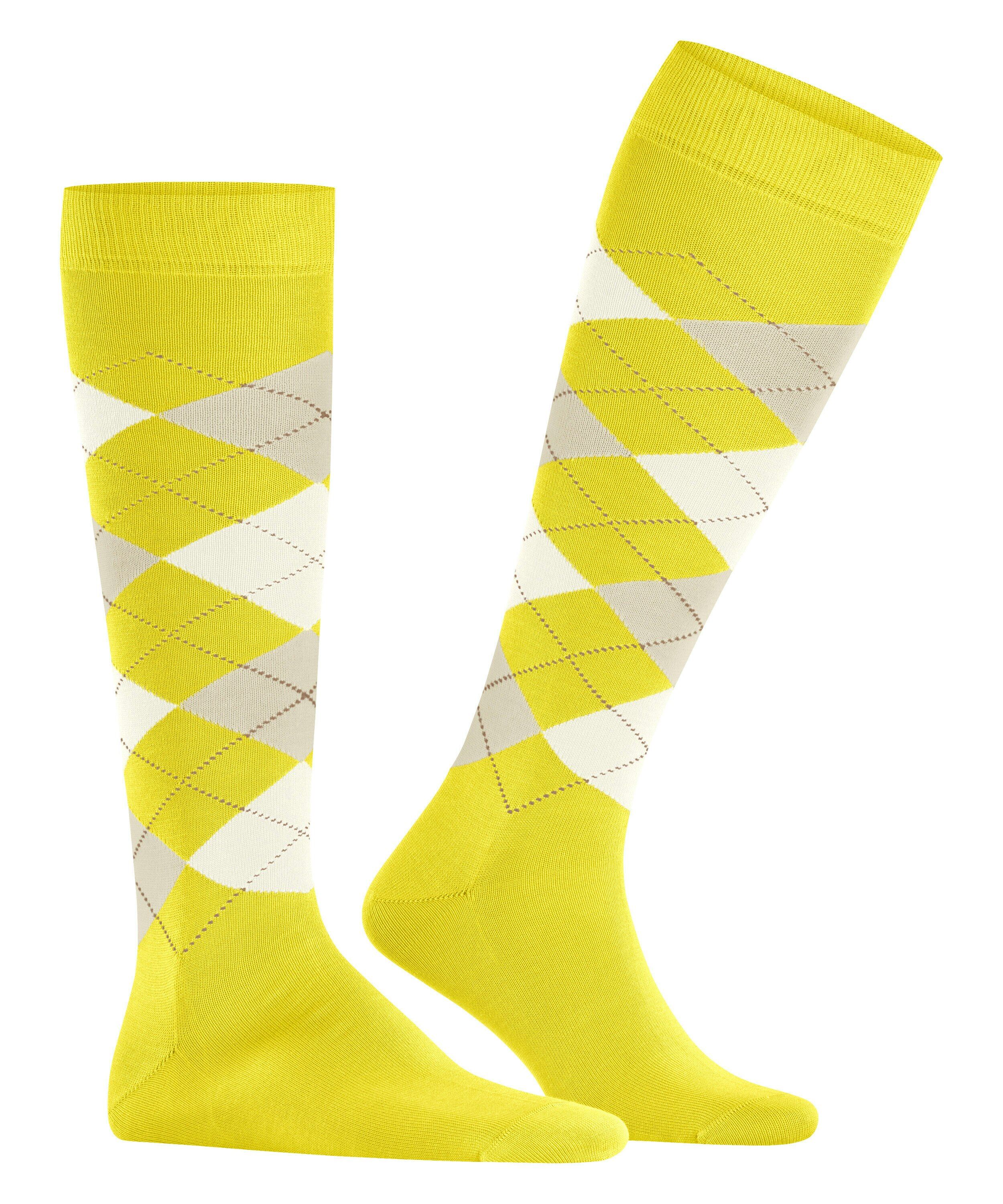 Burlington Manchester heren kniekousen, groen (yellow-green)