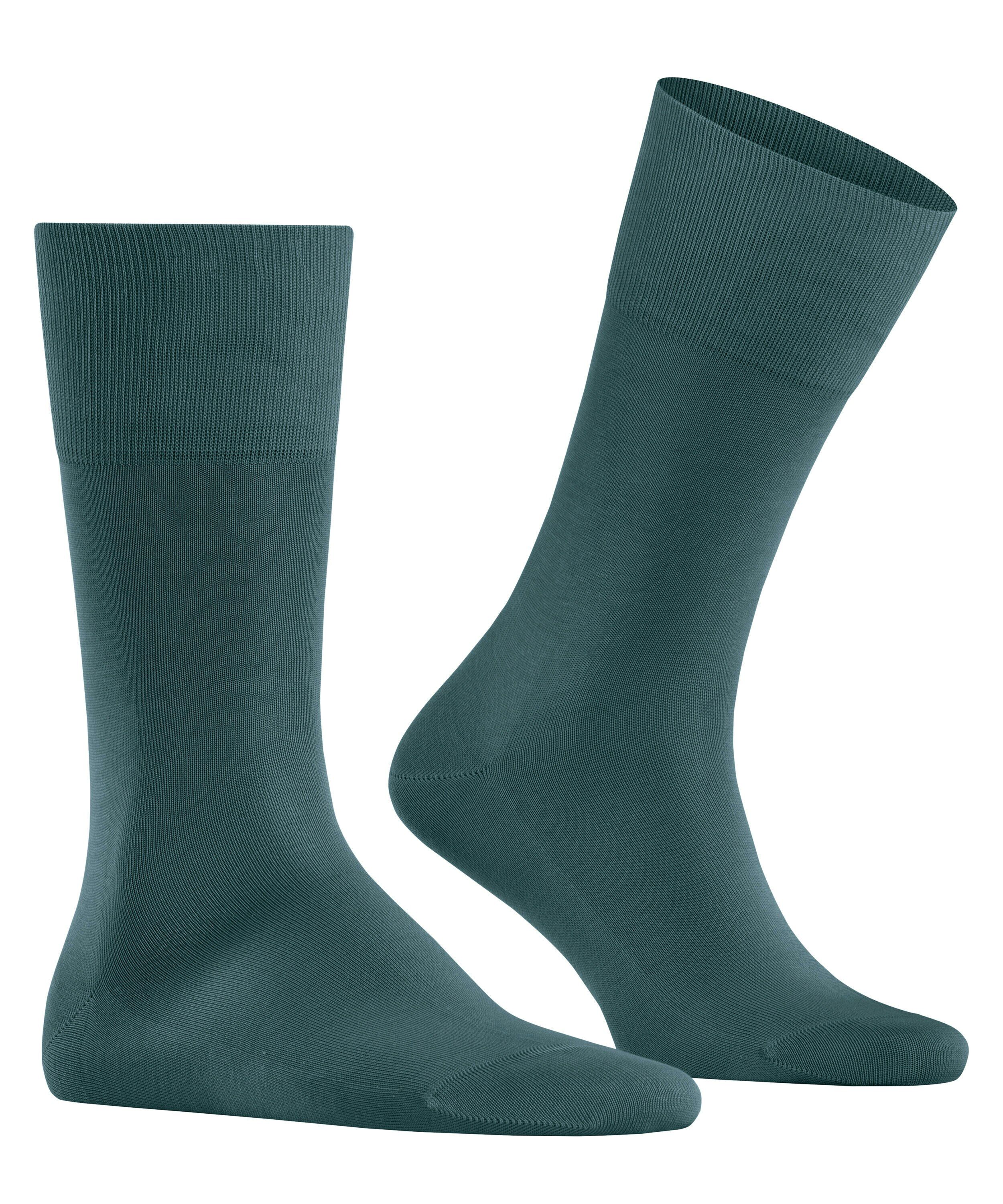 FALKE Tiago herensokken, groen (mulberry)