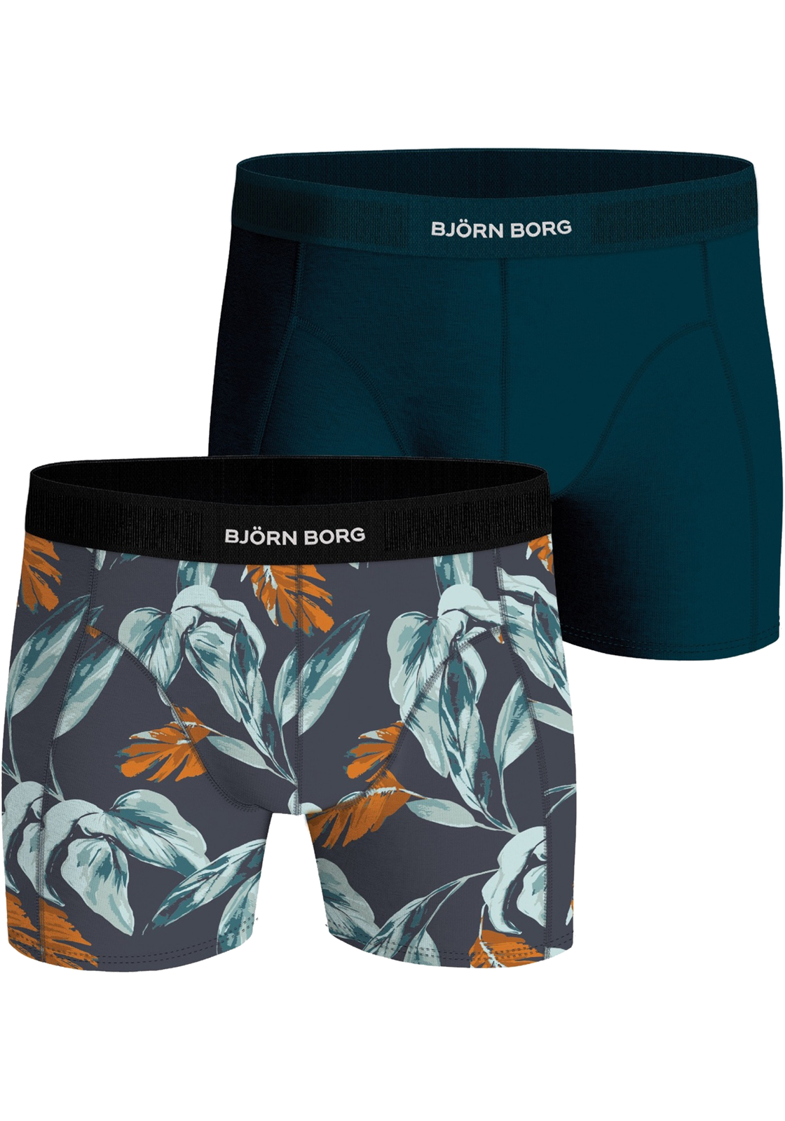 1-7321465530295-bjorn_borg_HR Bjorn Borg Cotton Stretch boxers, heren boxers normale lengte (2-pack), multicolor