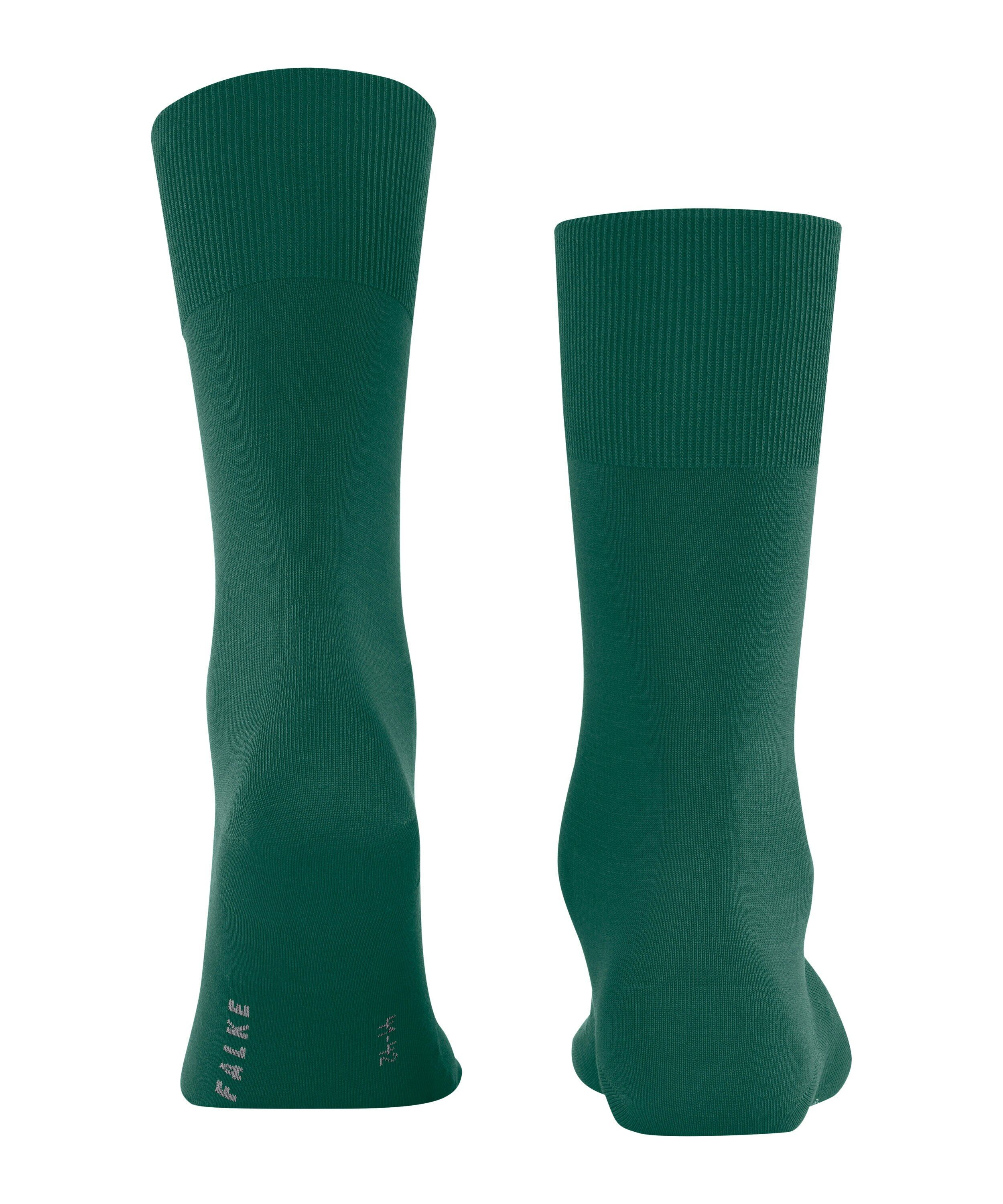 FALKE ClimaWool herensokken, groen (emerald)
