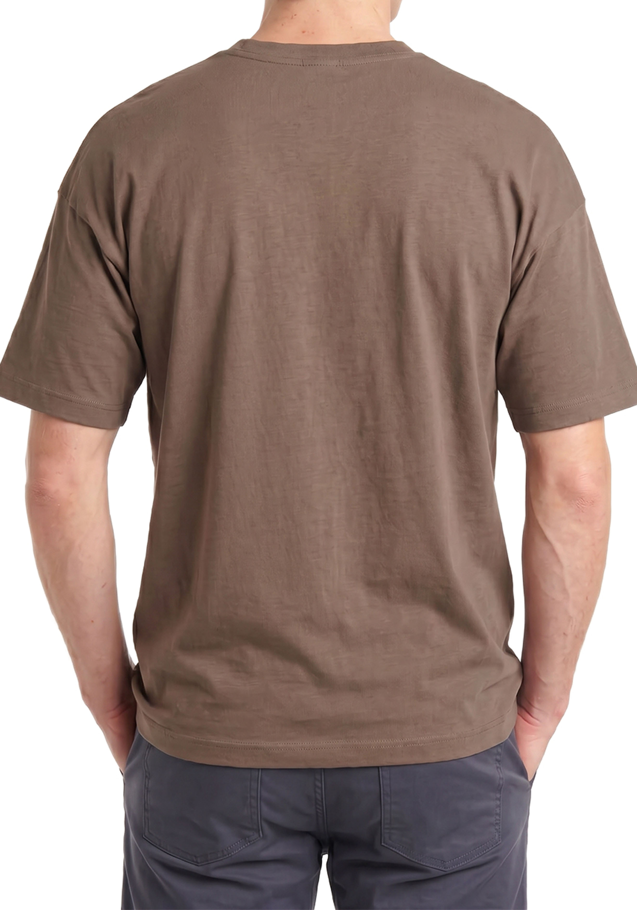 ALAN RED T-shirts Venice (1-pack), O-hals, taupe