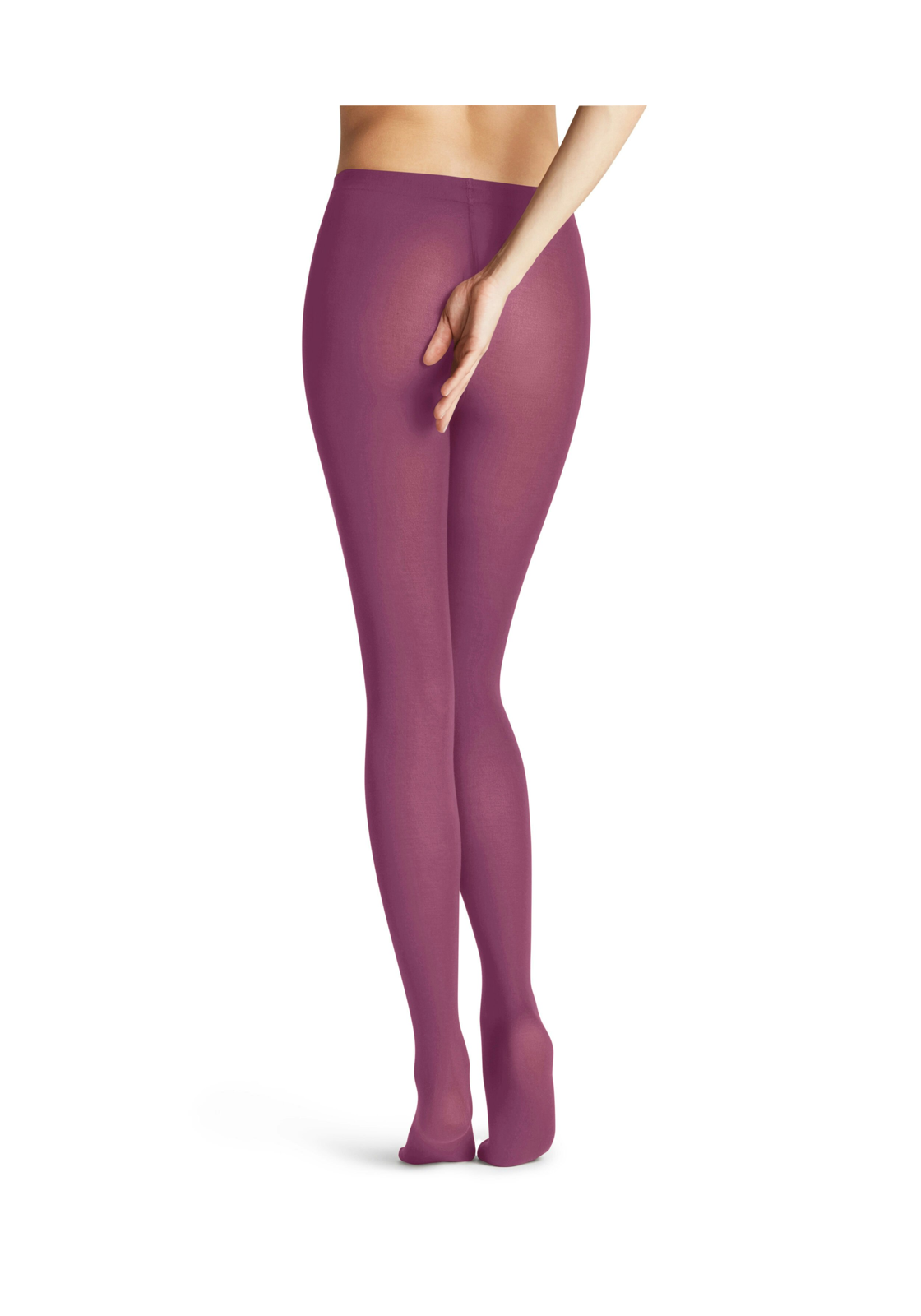image_3_16615-9684-rearview-647e8e51bbb56jpgautofo FALKE Cotton Touch dames panty, hibiscus paars