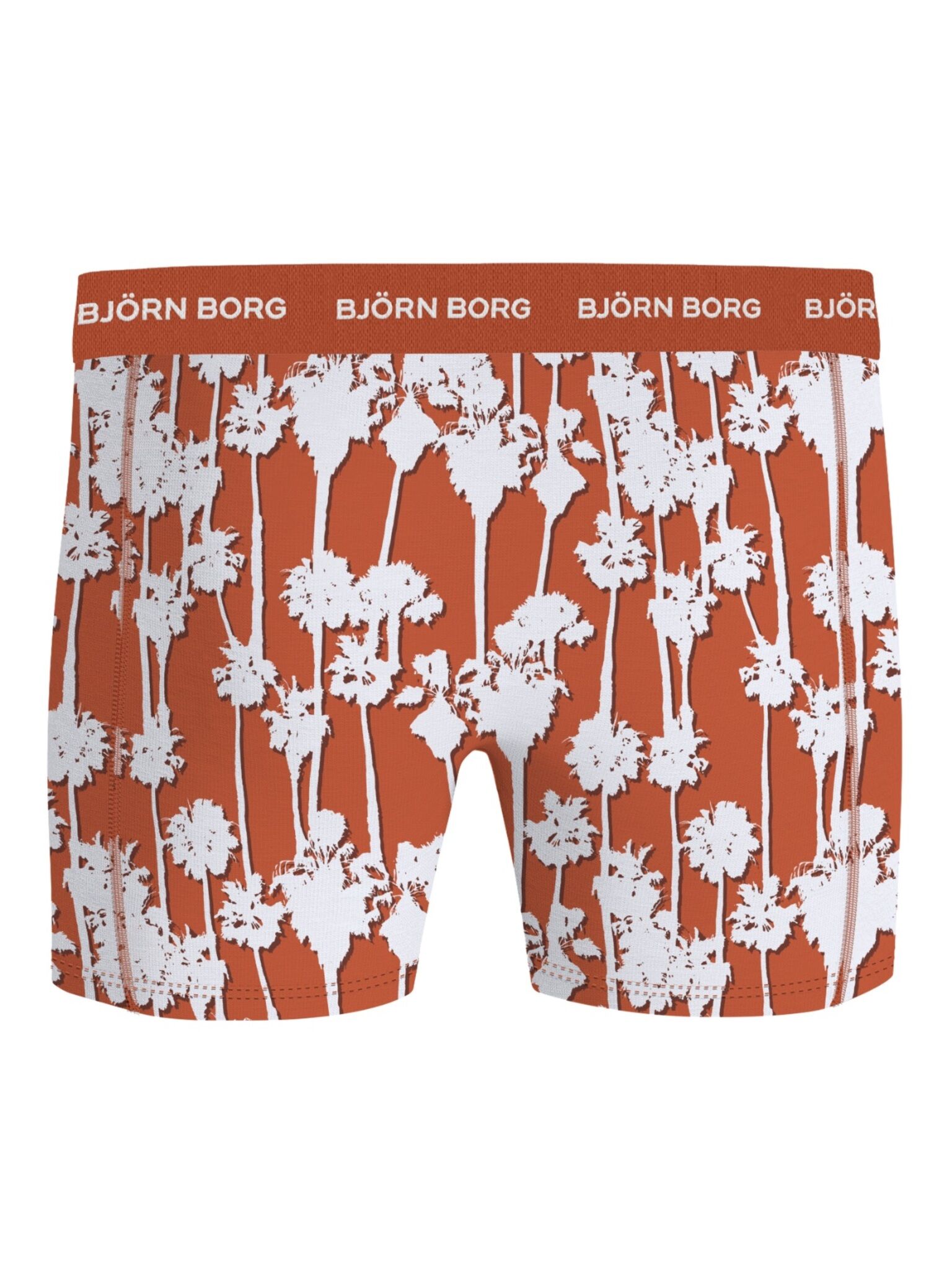 Bjorn Borg Cotton Stretch boxers, heren boxers normale lengte (2-pack), multicolor