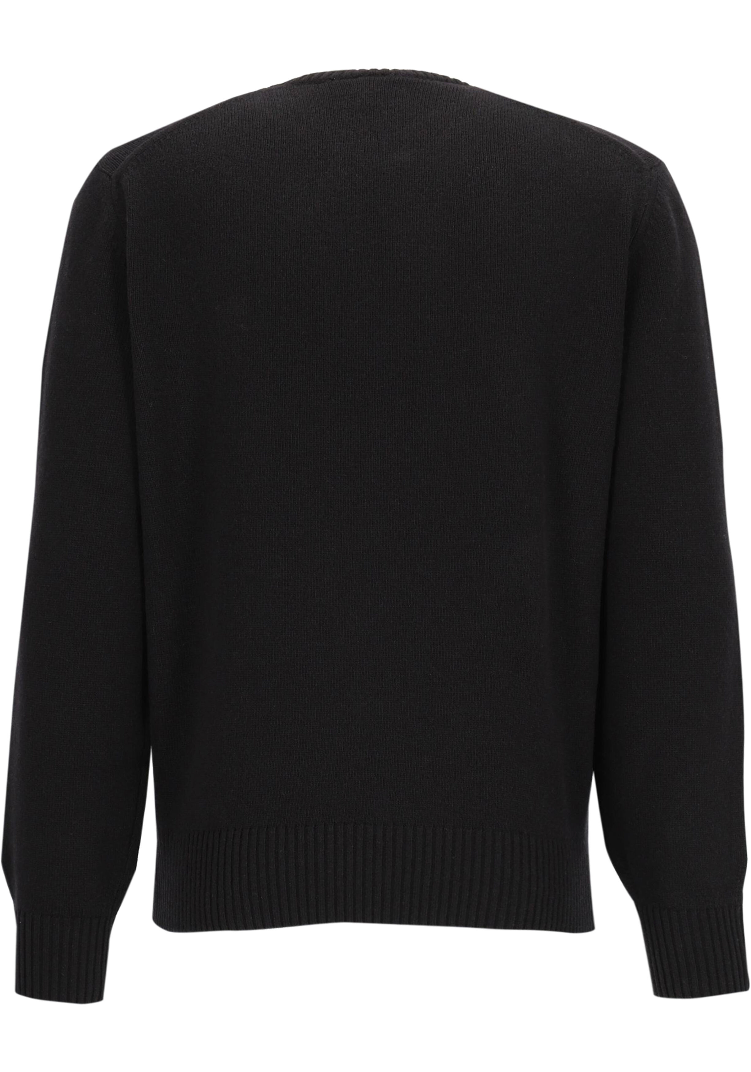 Lacoste herentrui wol, O-hals, zwart